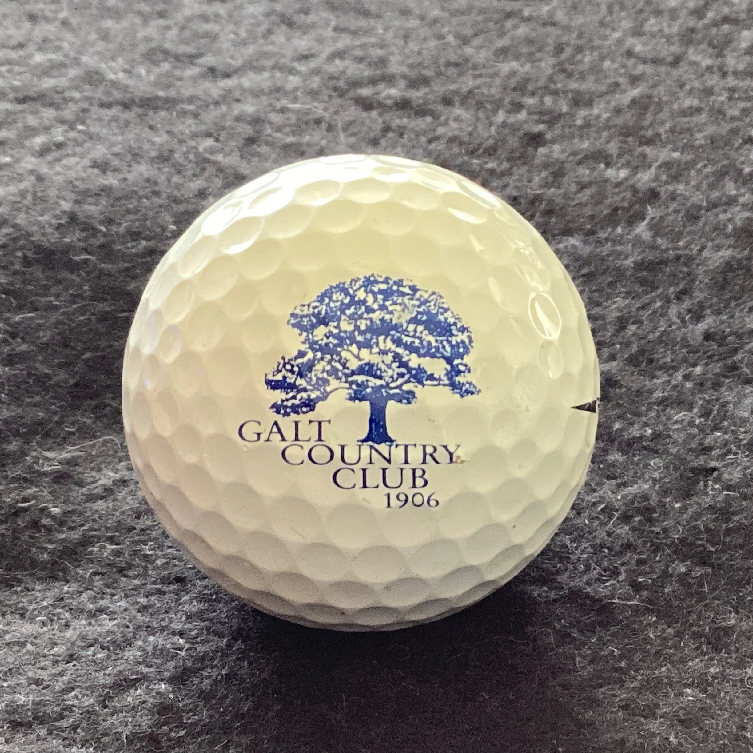 Galt Country Club 