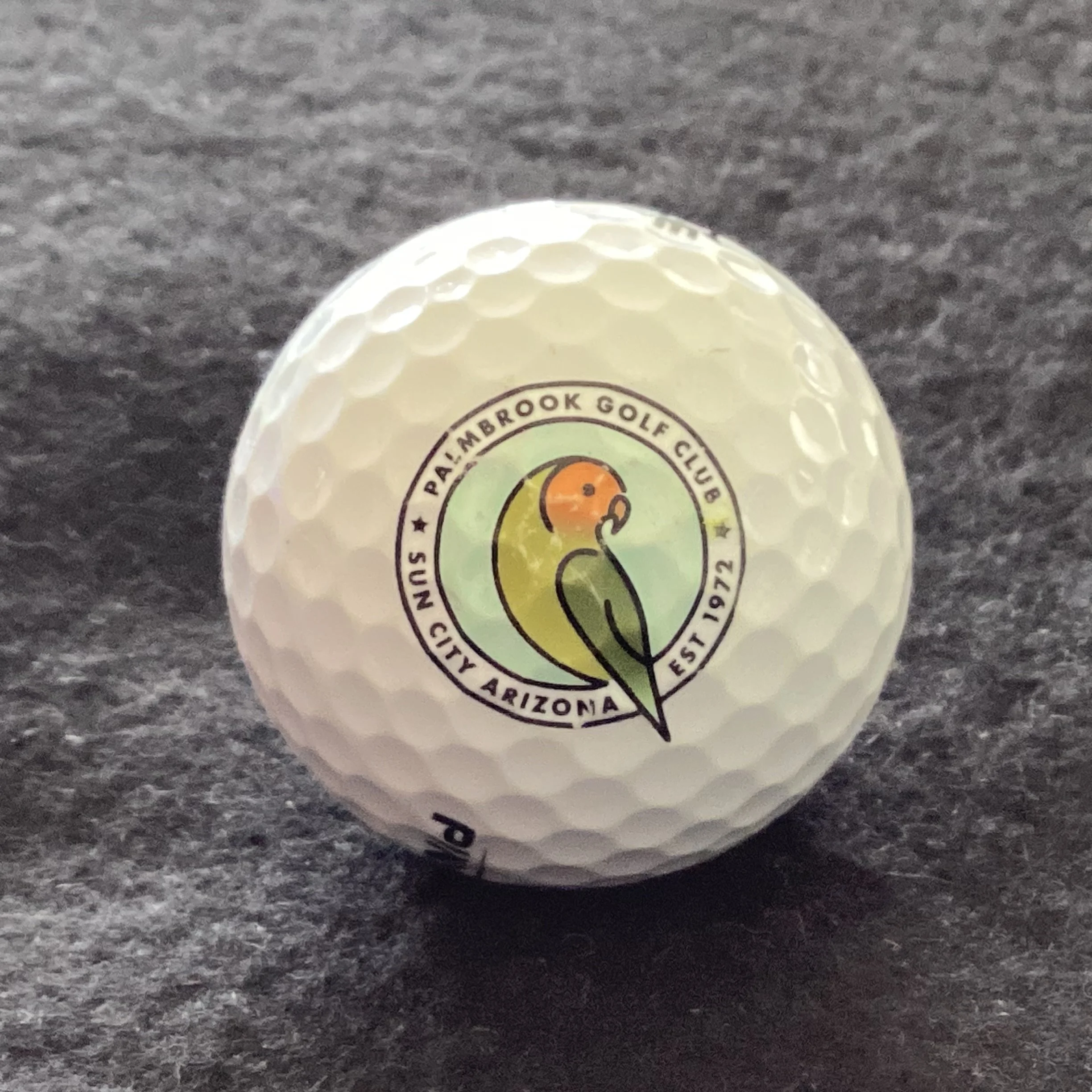 Palmbrook Golf Club 