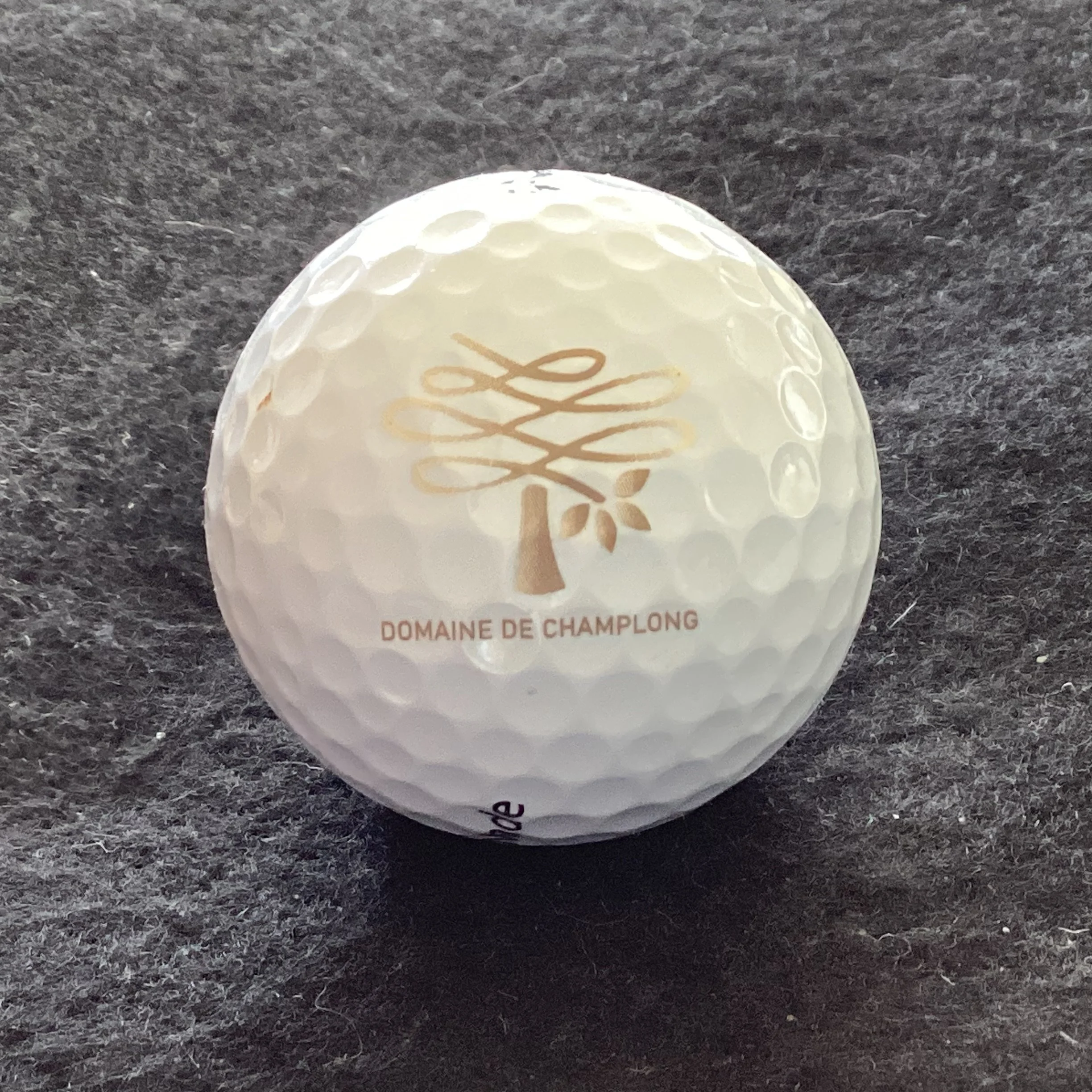 Domaine de Champlong Golf