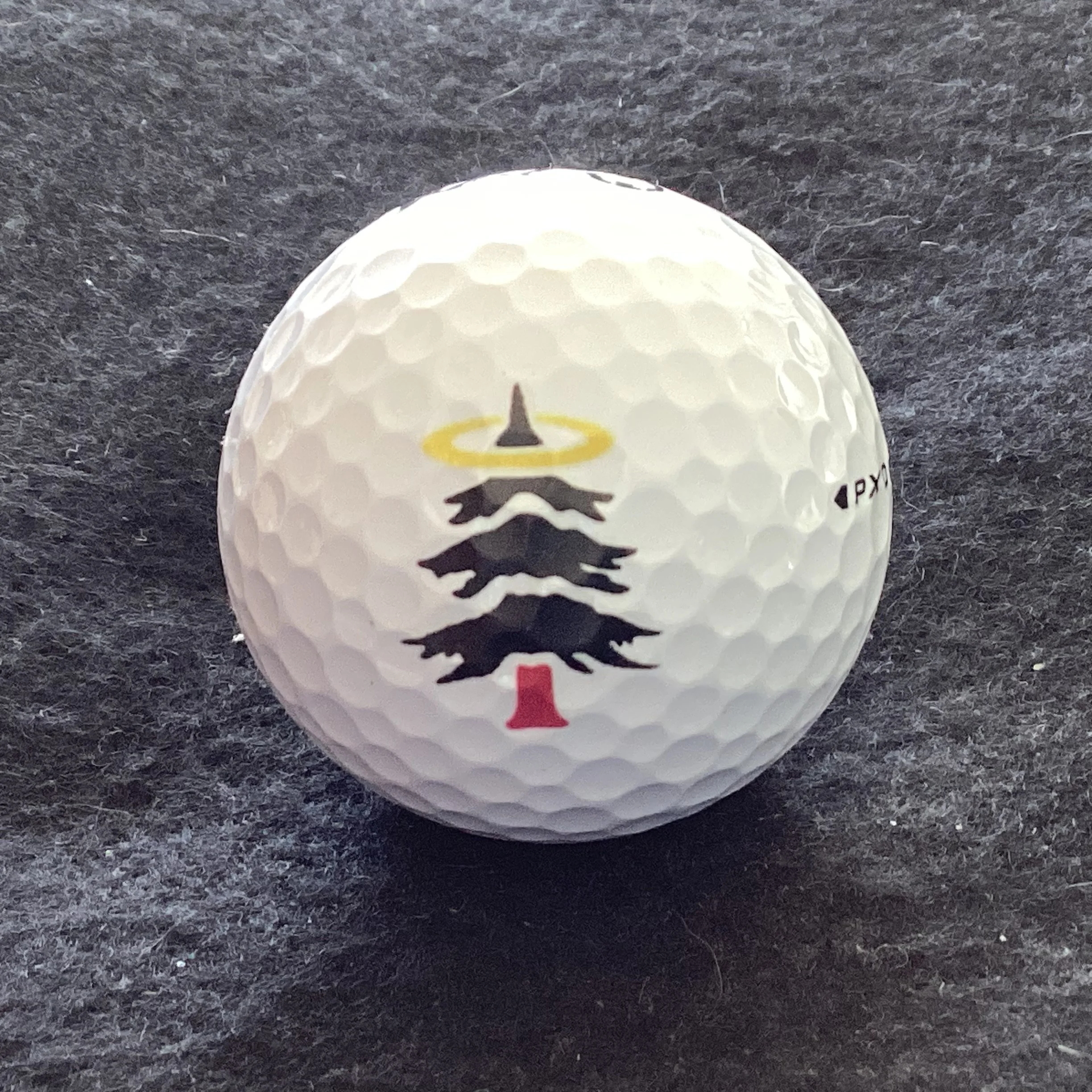 Sahalee Country Club 