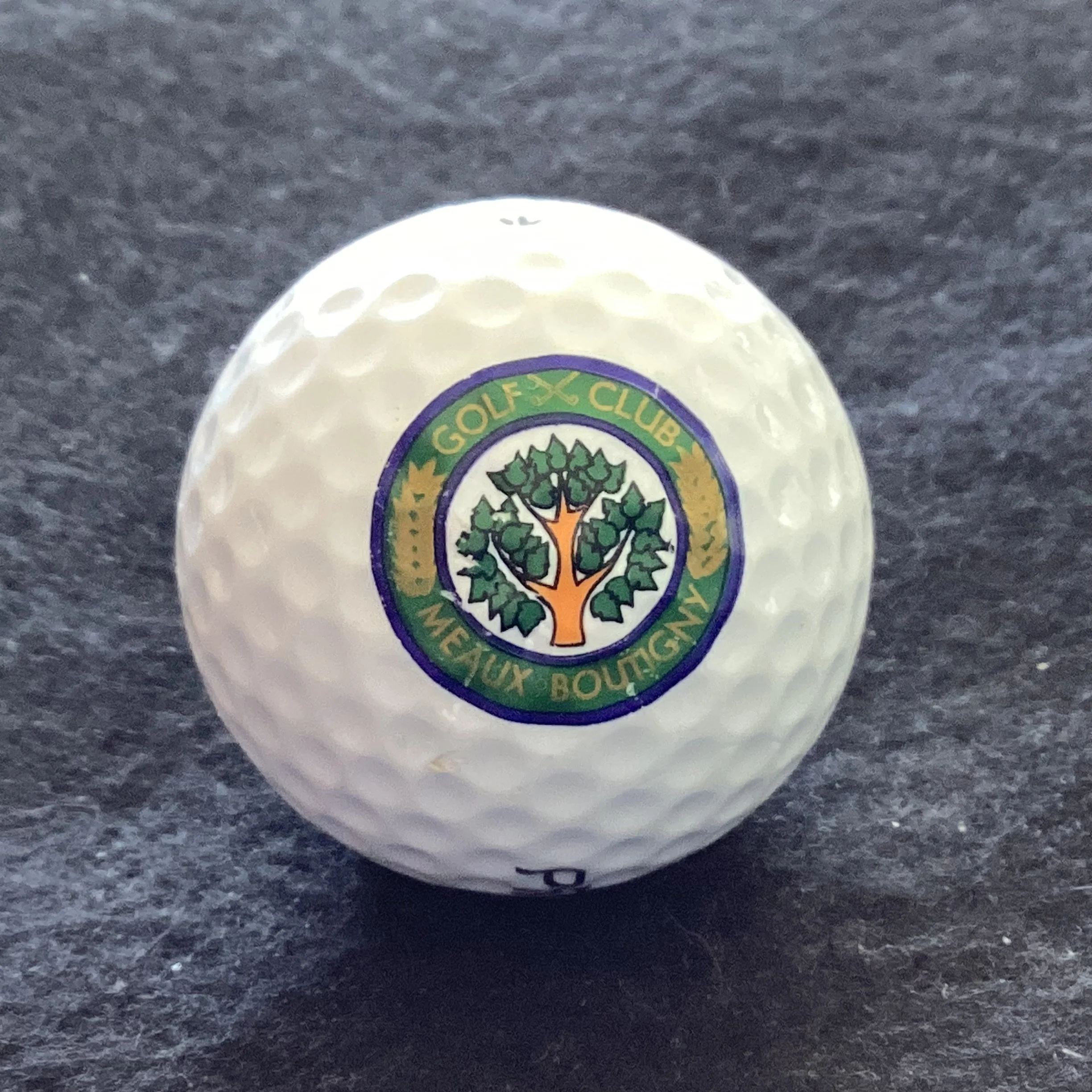 Meaux Boutigny Golf Club 