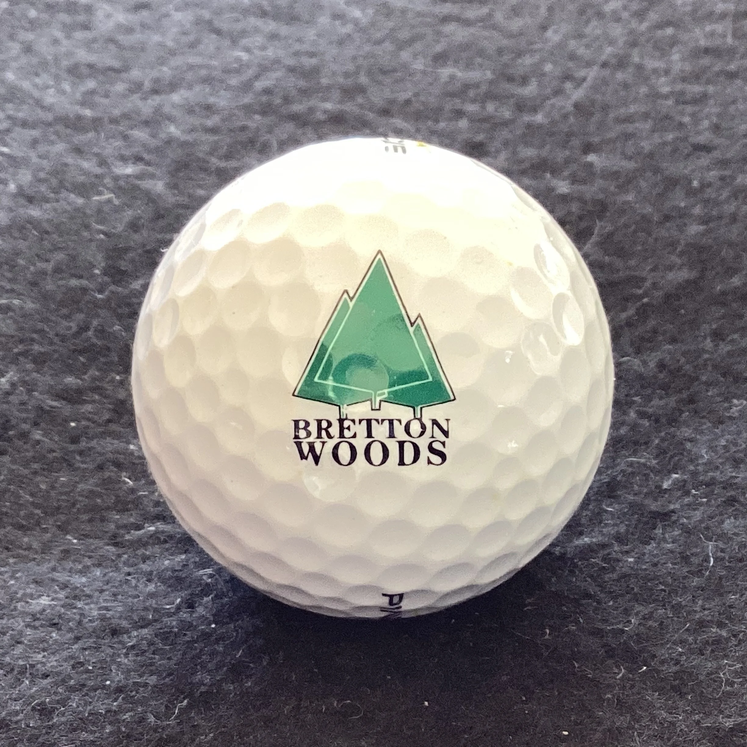 Bretton Woods Golf Club 