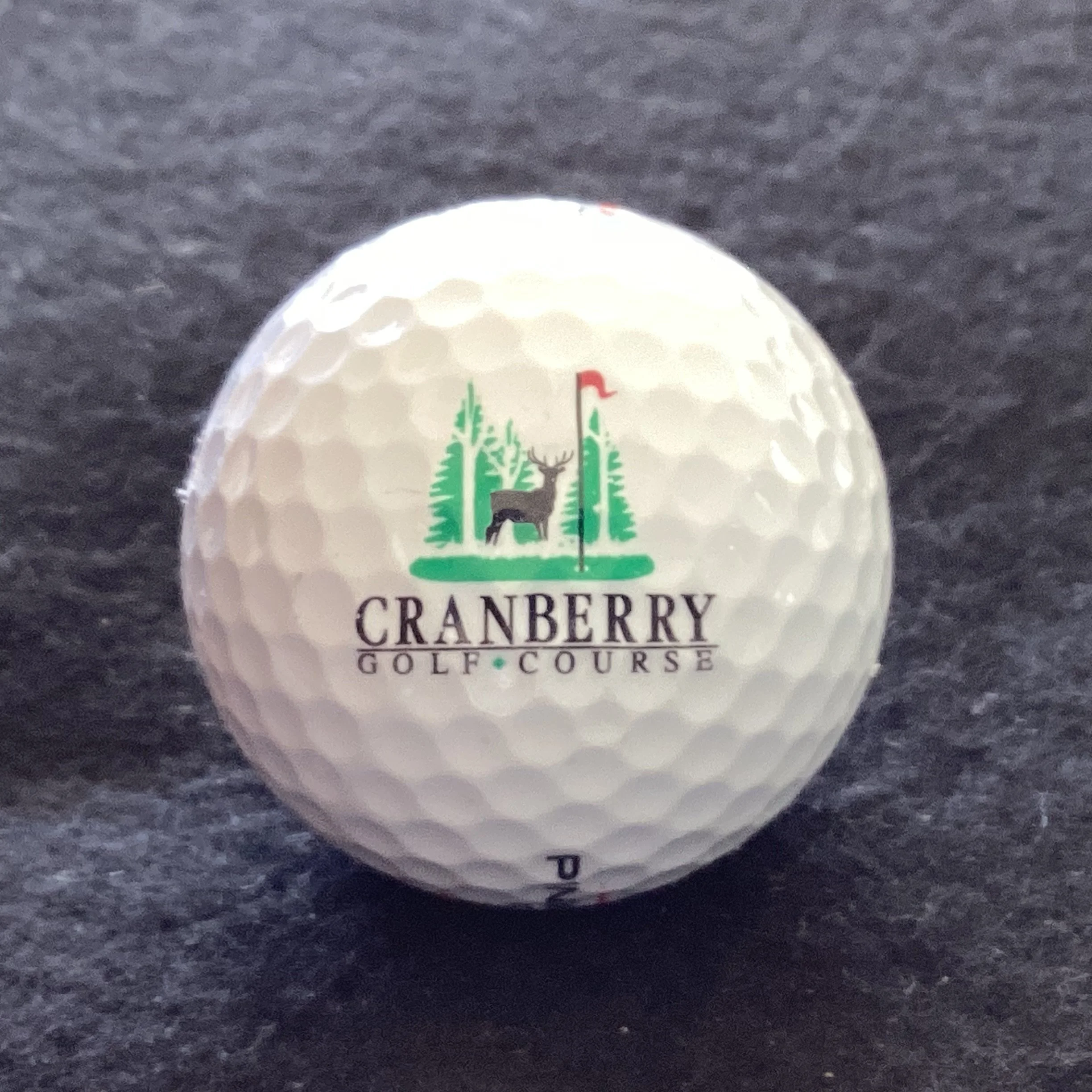 Cranberry Golf Course 