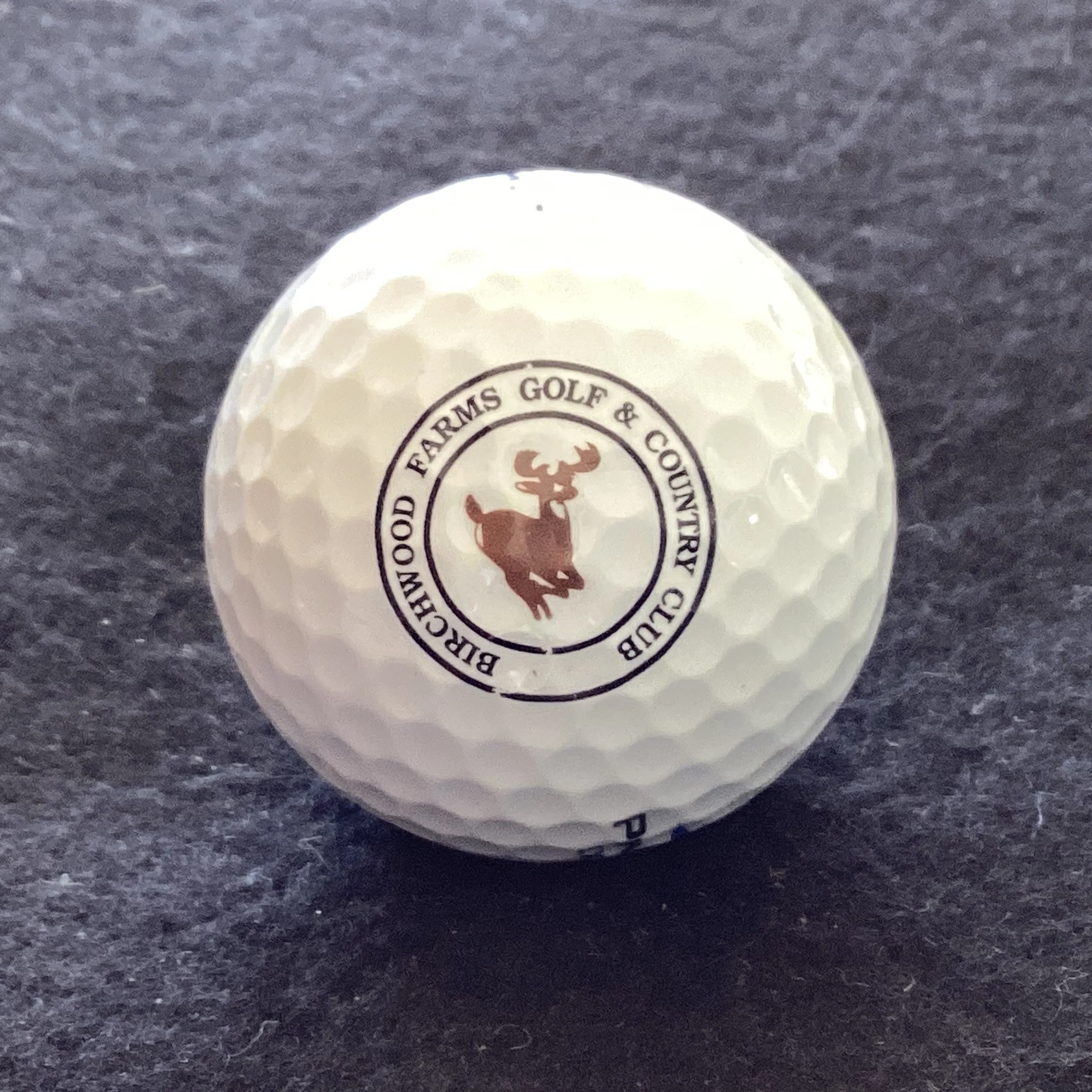 Birchwood Farms Golf and Country Club 