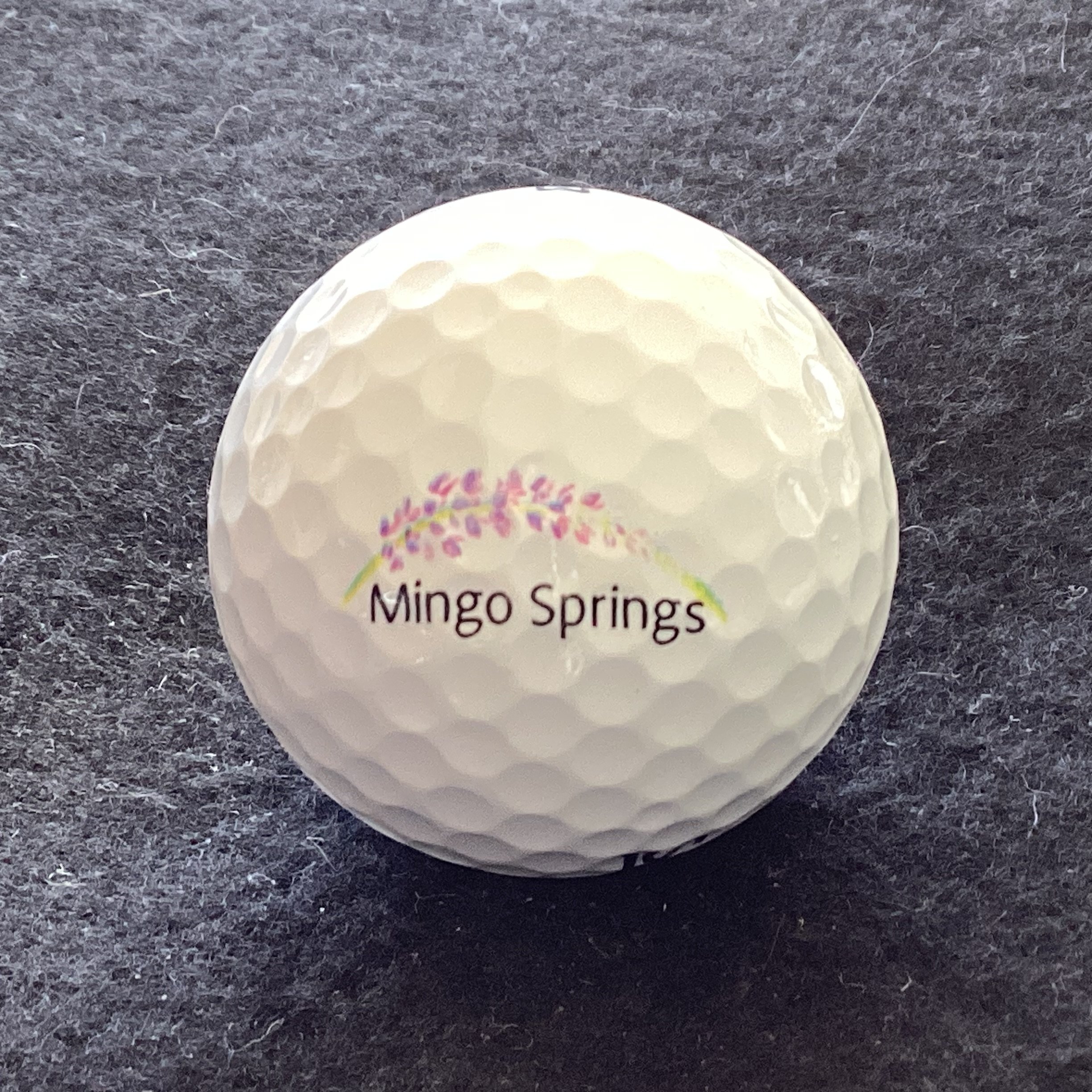Mingo Springs Golf Club 