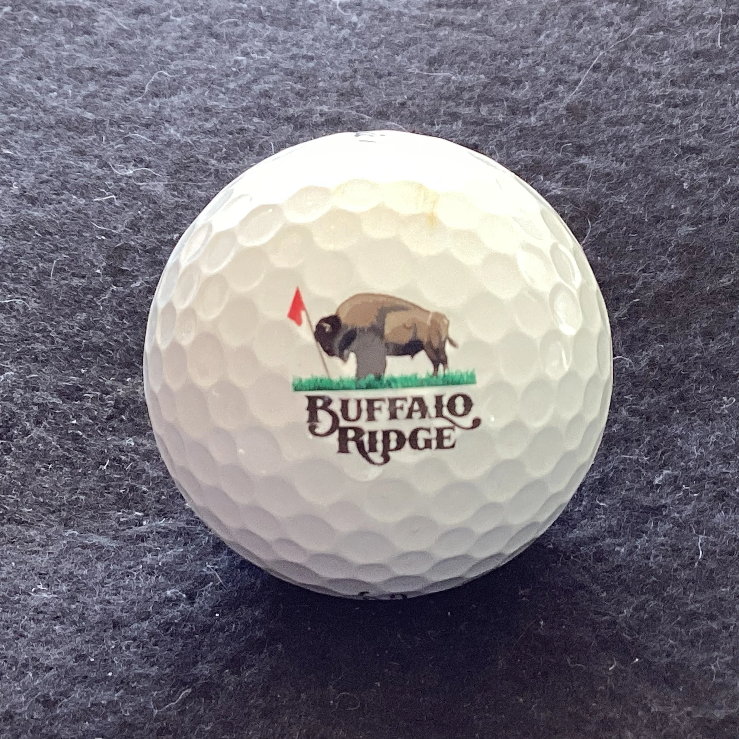 Buffalo Ridge Golf Club 