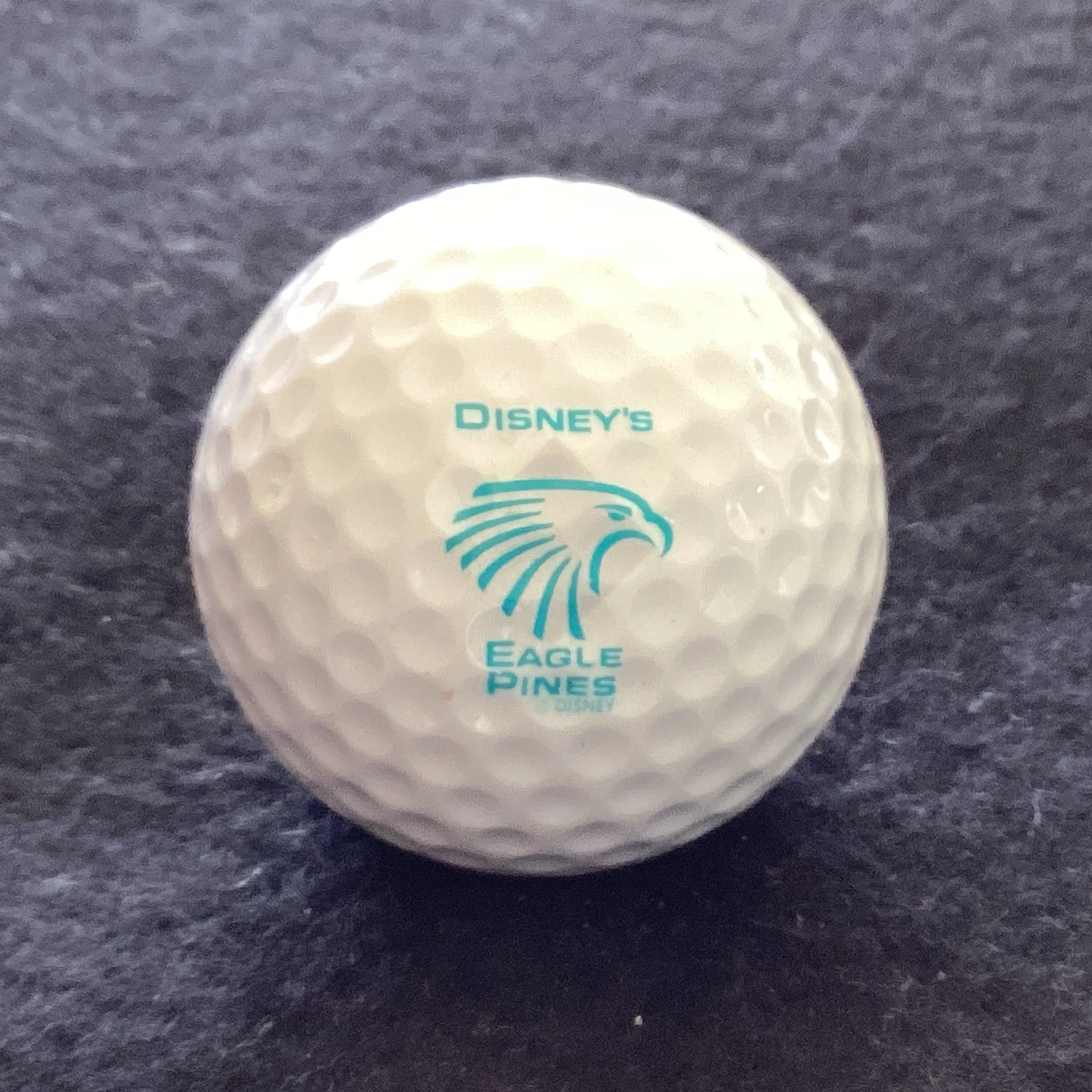Disney’s Eagle Pines Golf Course 