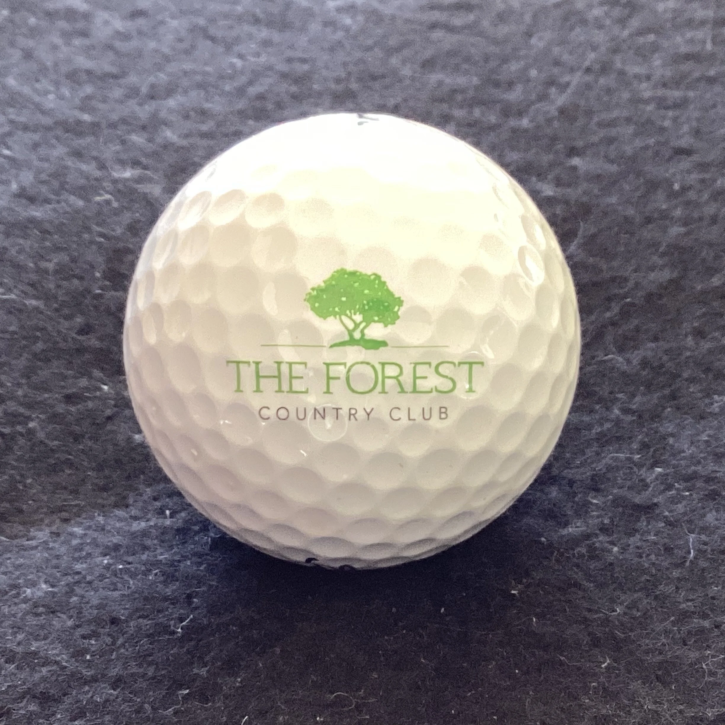 Forest - The Forest Country Club