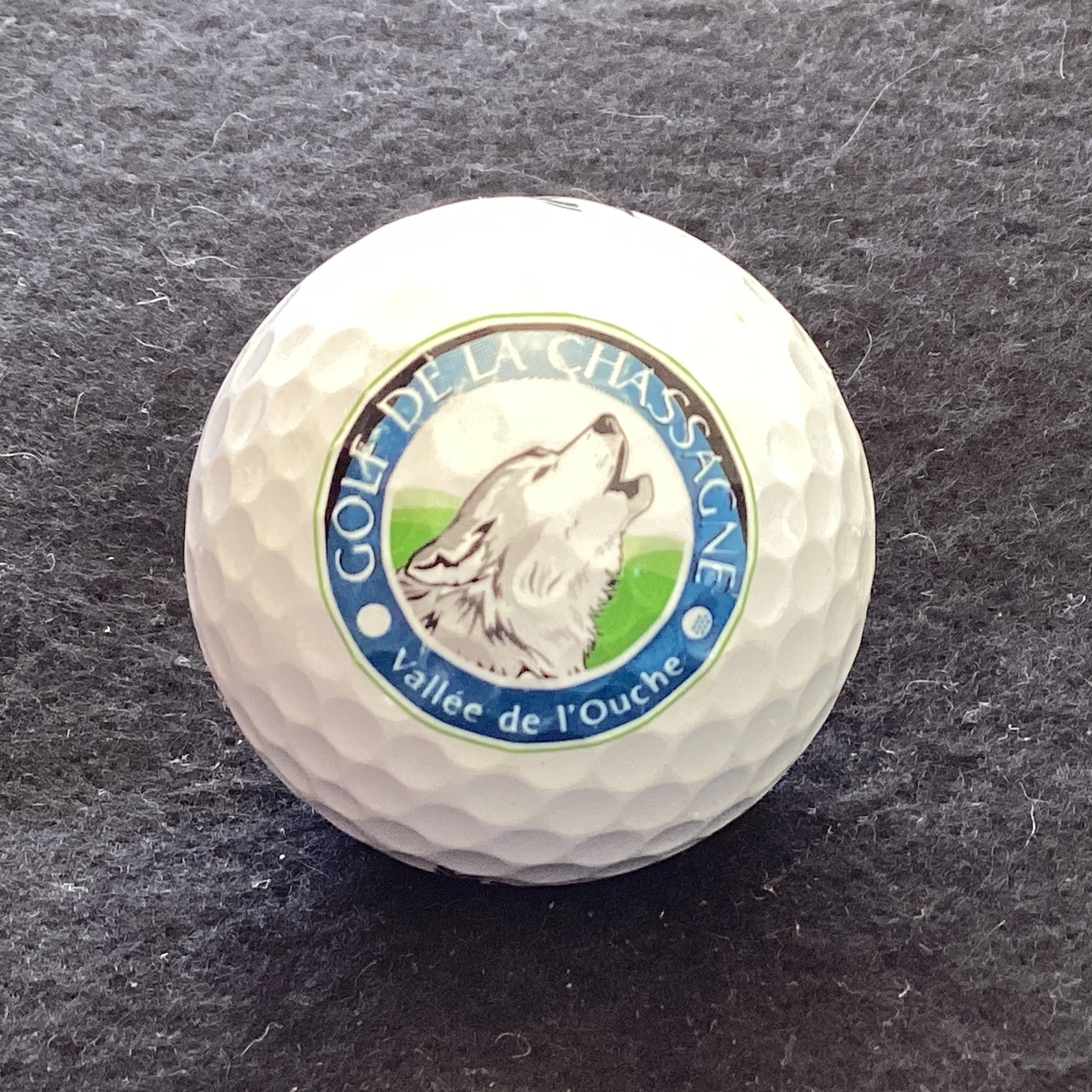 Chassagne - Golf de La Chassagne