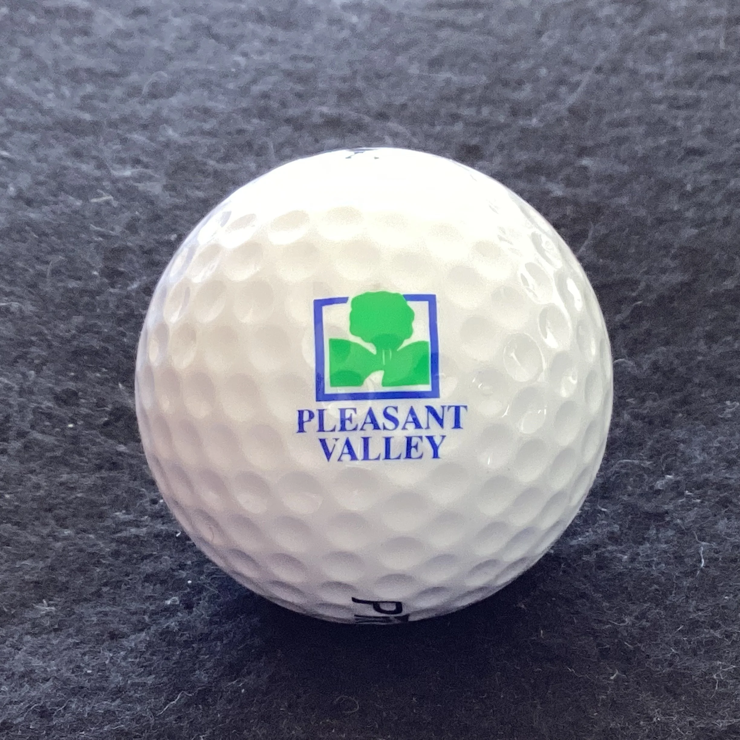 Pleasant Valley Country Club 