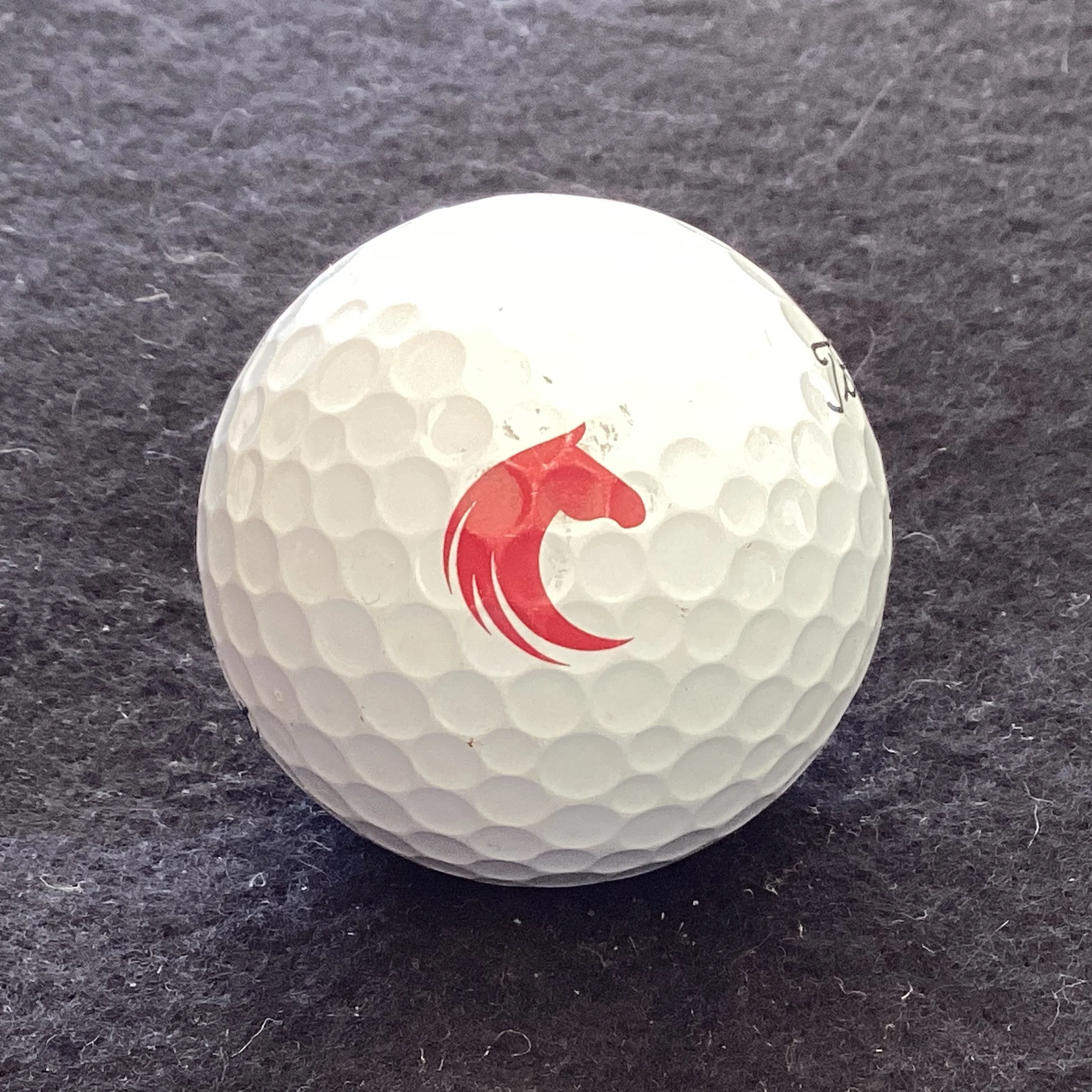 Great Horse Country Club 