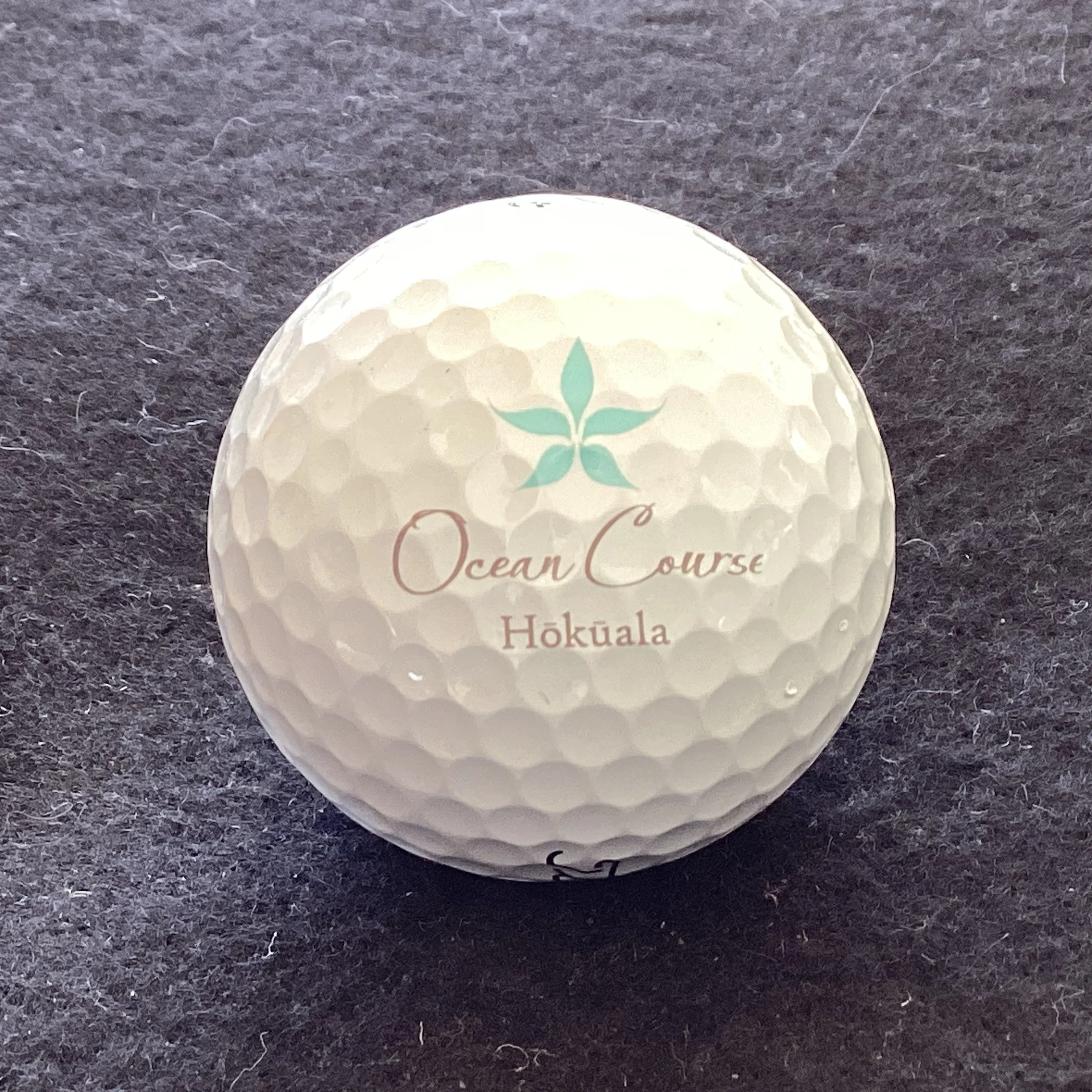 Hokuala Ocean Course 