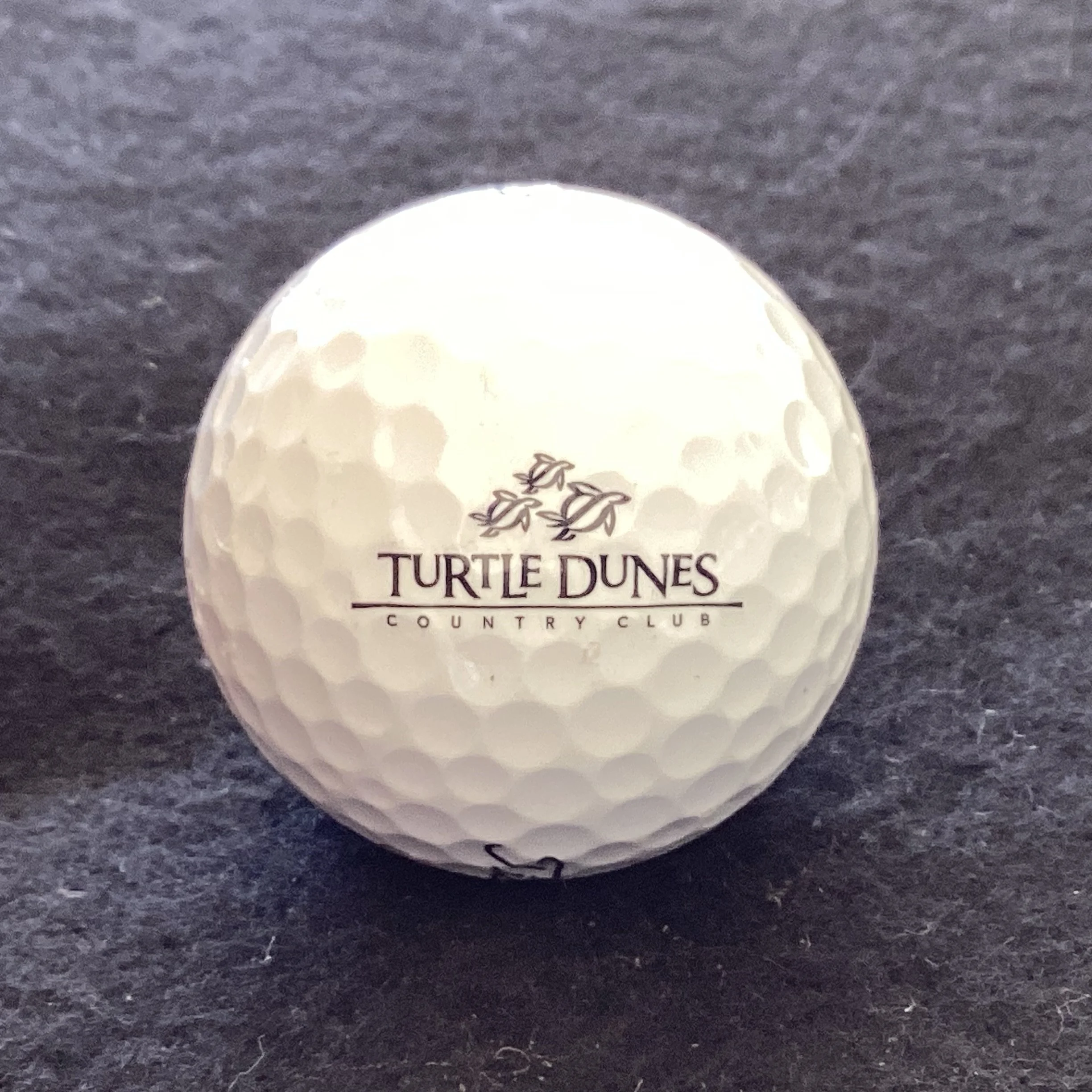 Turtle Dunes Country Club 