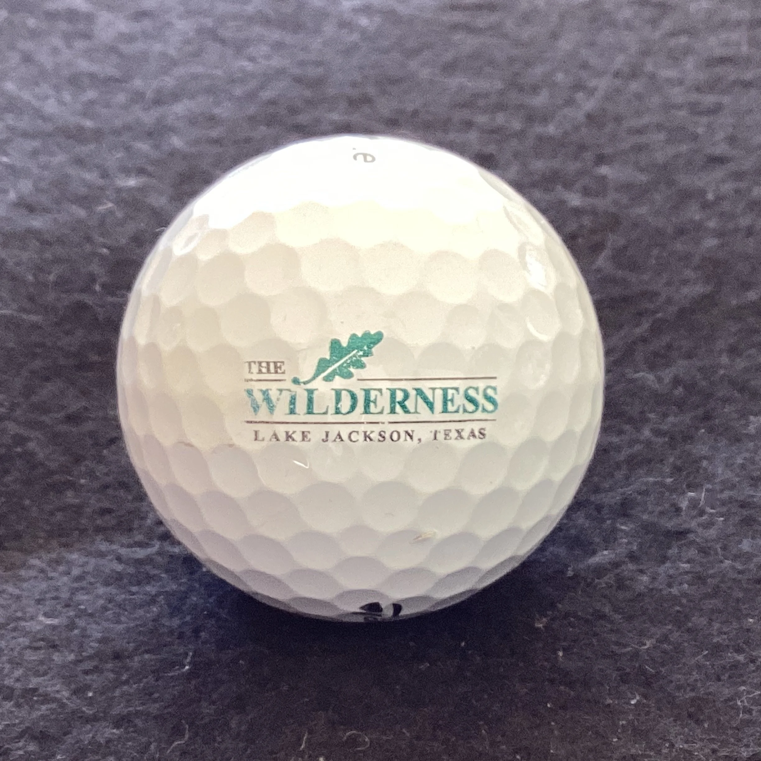 Wilderness- The Wilderness at Lake Jackson 