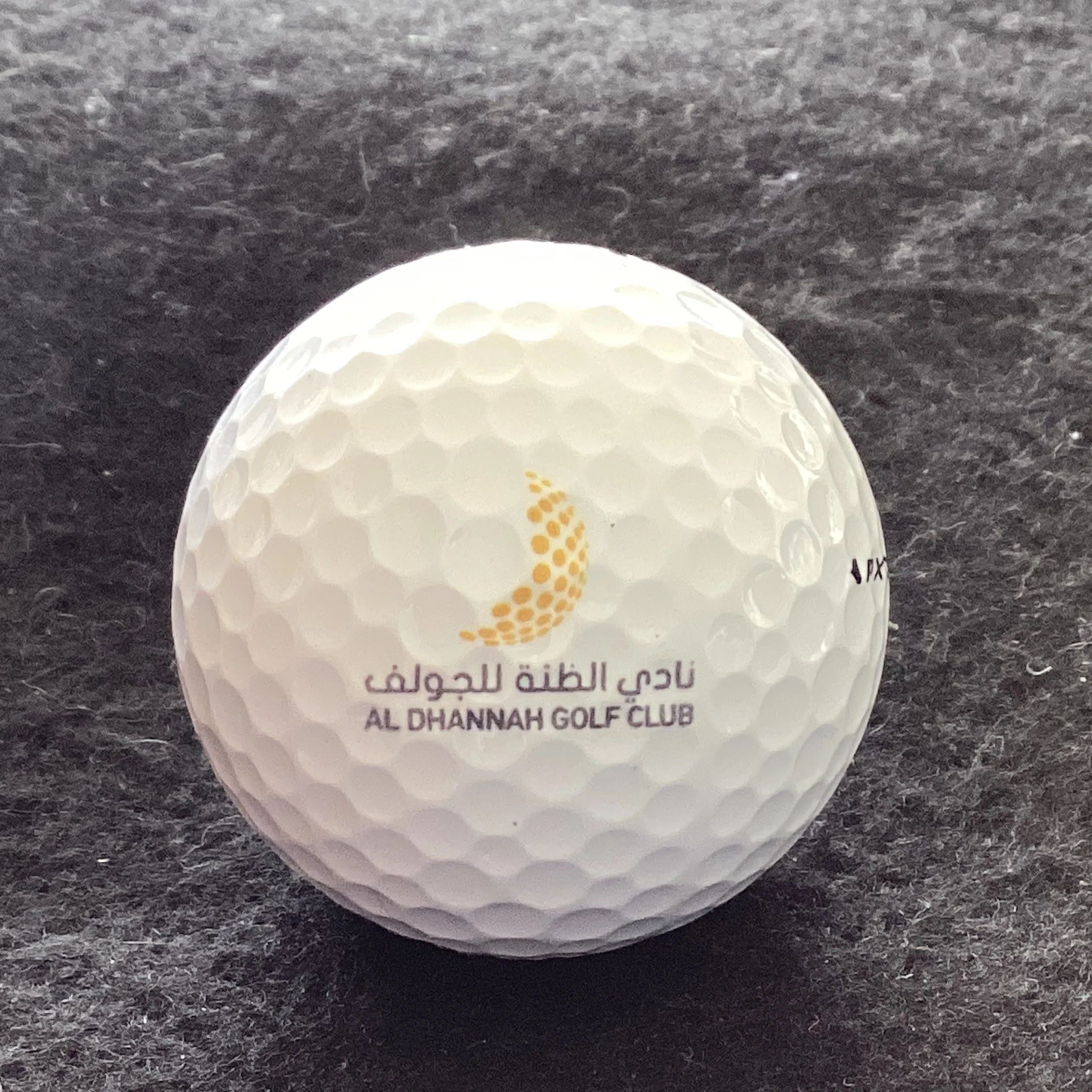 Al Dhannah Golf Club 