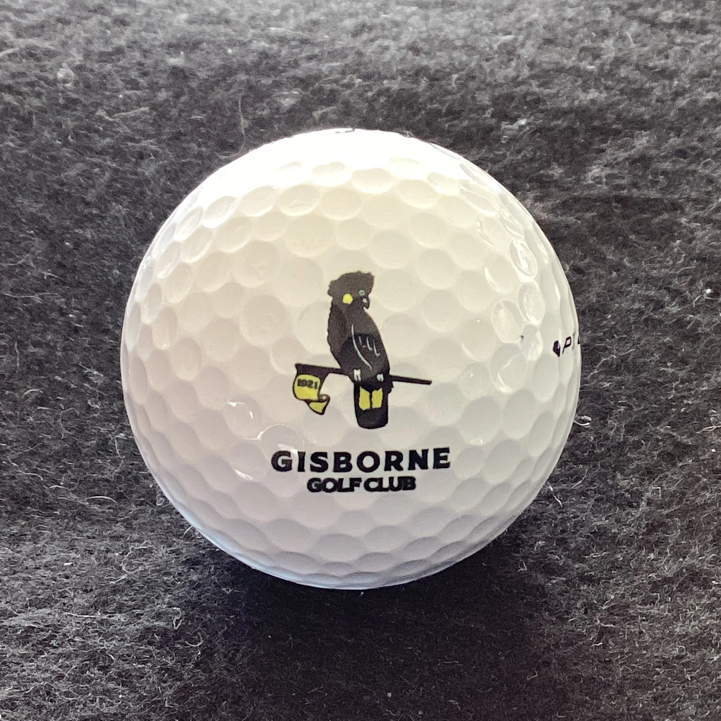 Gisborne Golf Club 