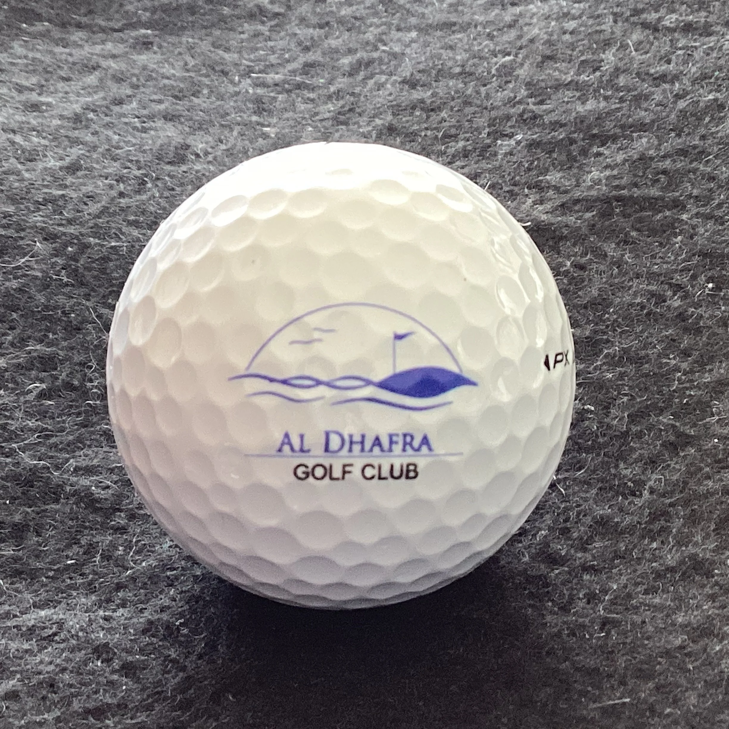 Al Dhafra Golf Club 
