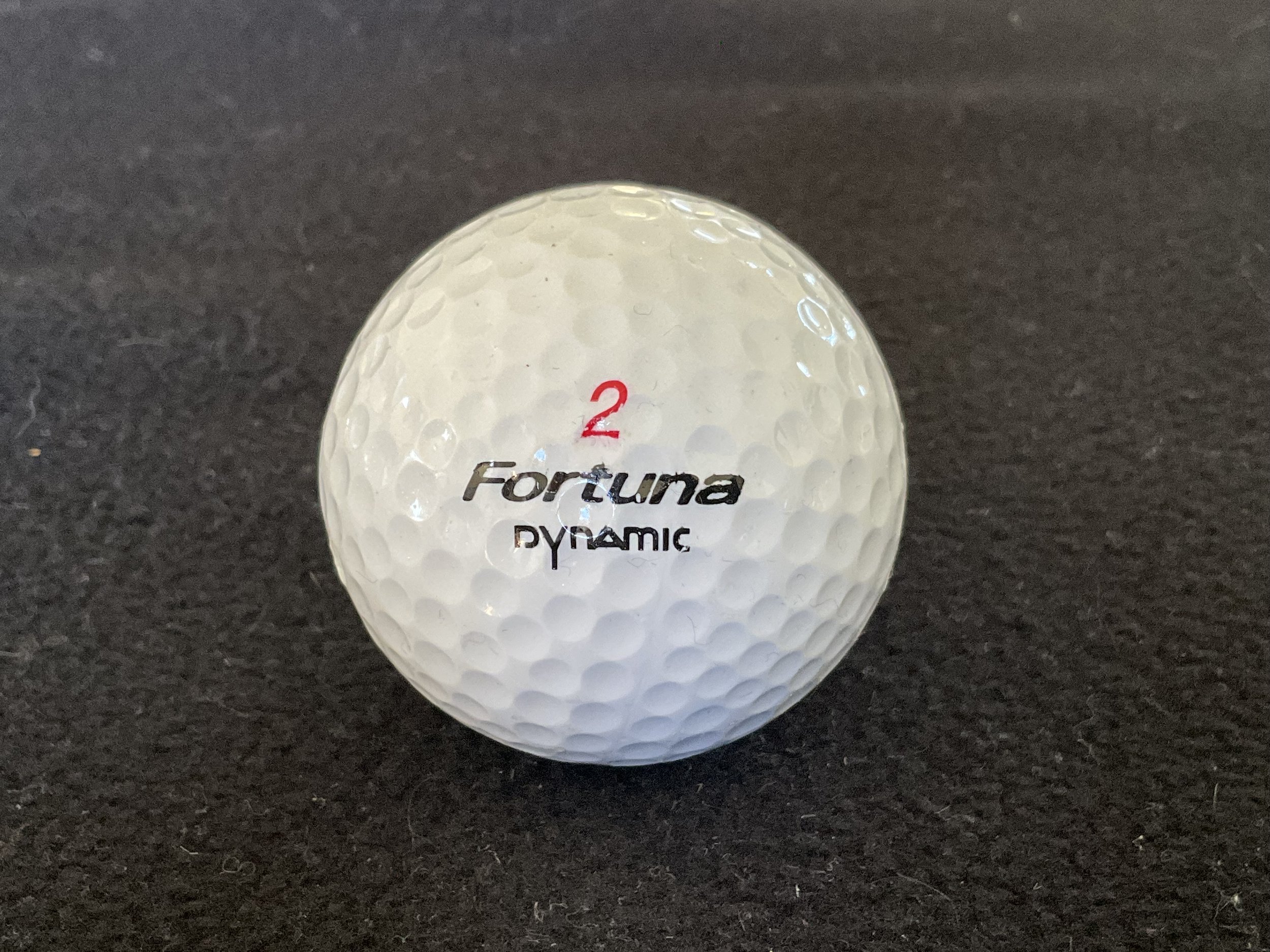 Fortuna Dynamic