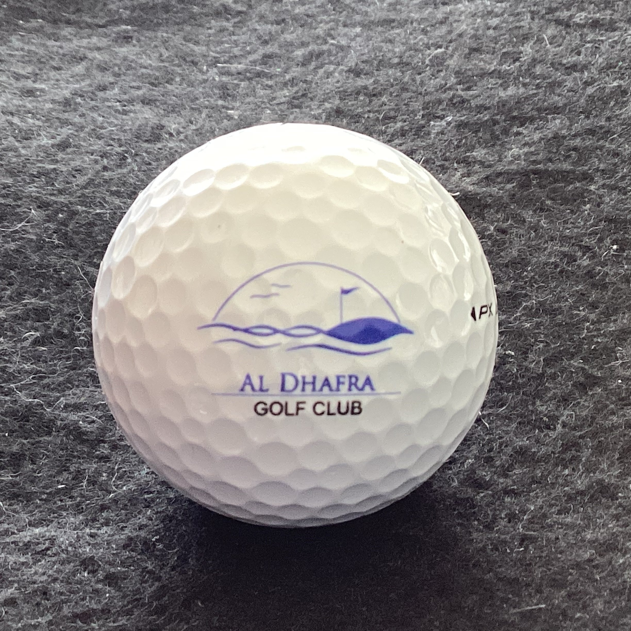 Al Dhafra Golf Club 