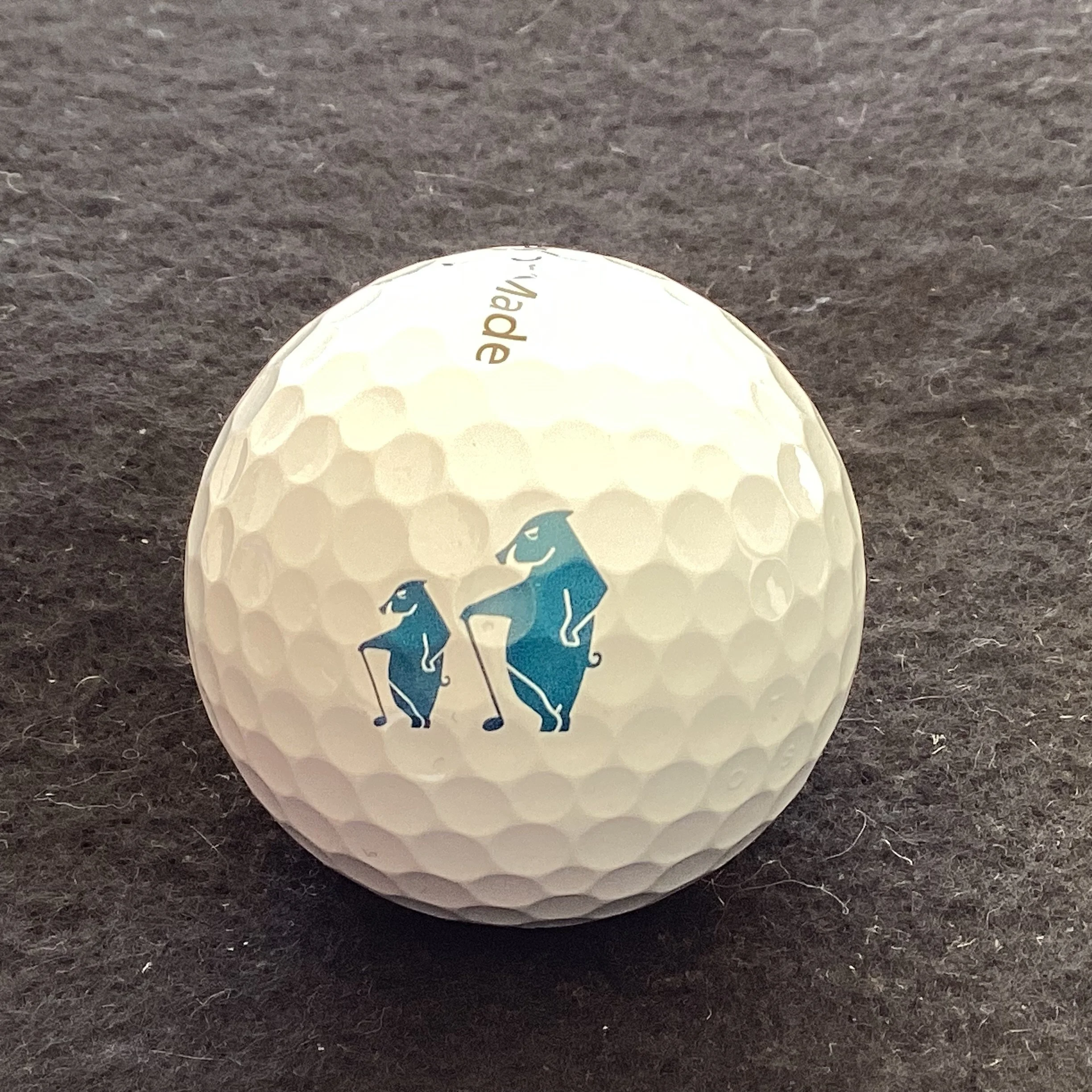 Hogs Head Golf Club Father and Son Tournament 