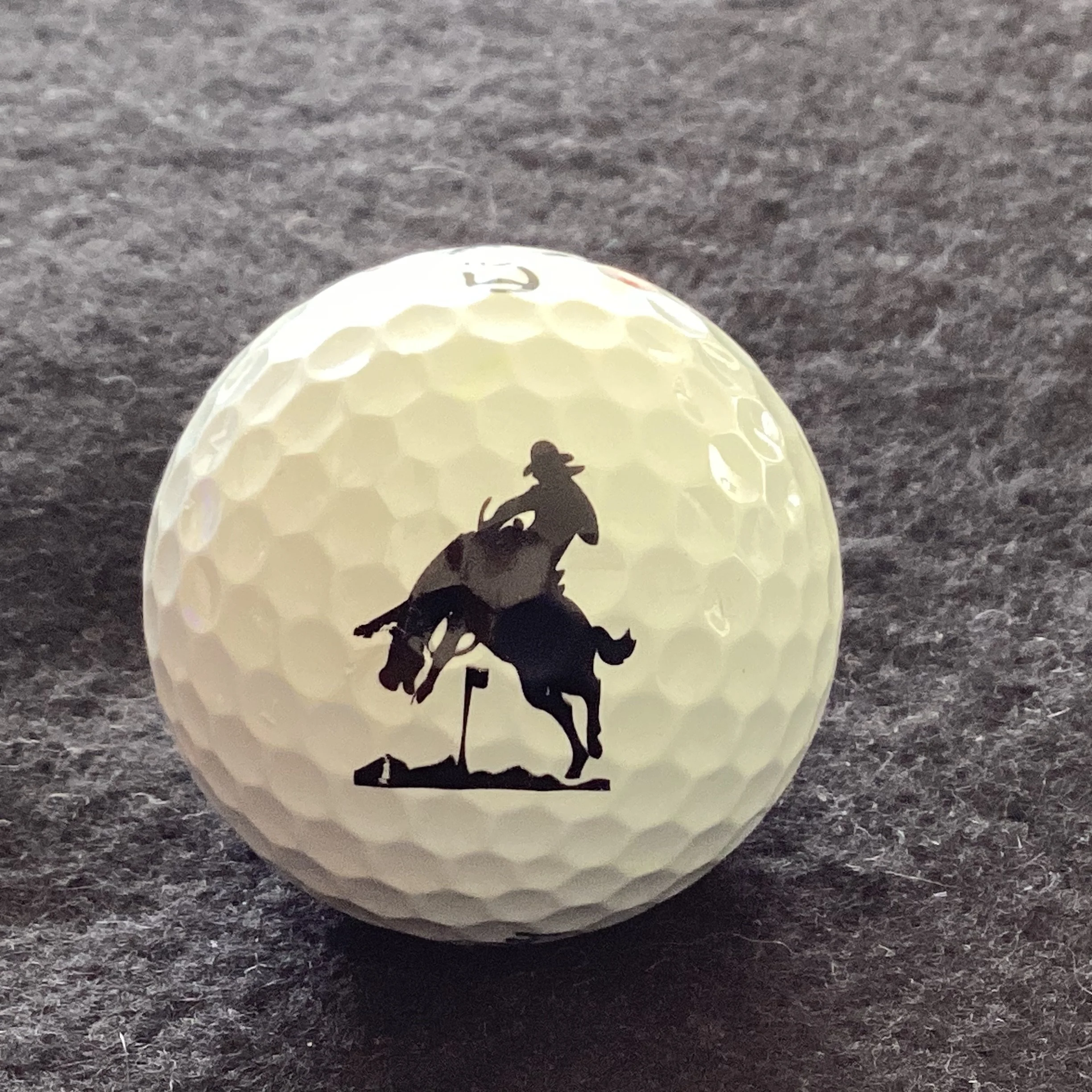 Showdown - The Showdown Match Play Tournament at Chaparrel Pines and The Rim Courses in Arizona