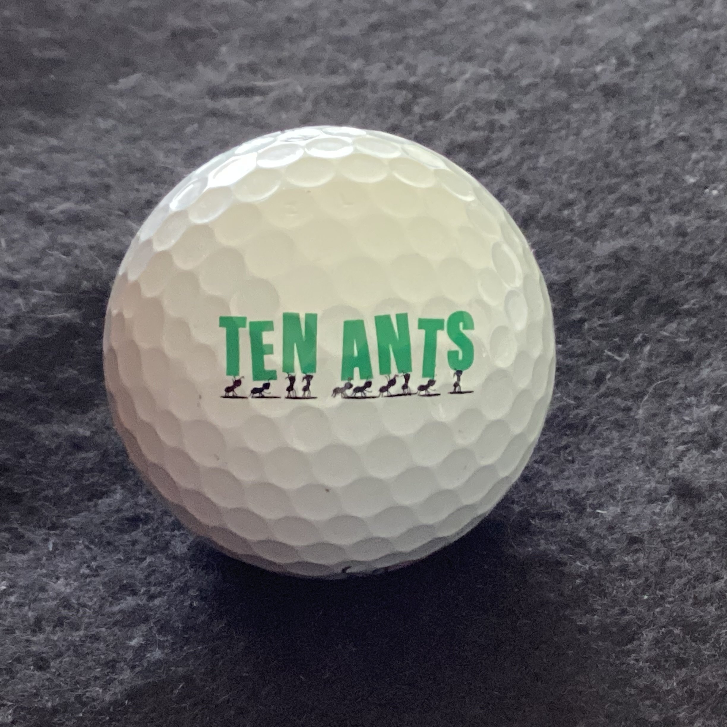 Ten Ants - Removealist Company