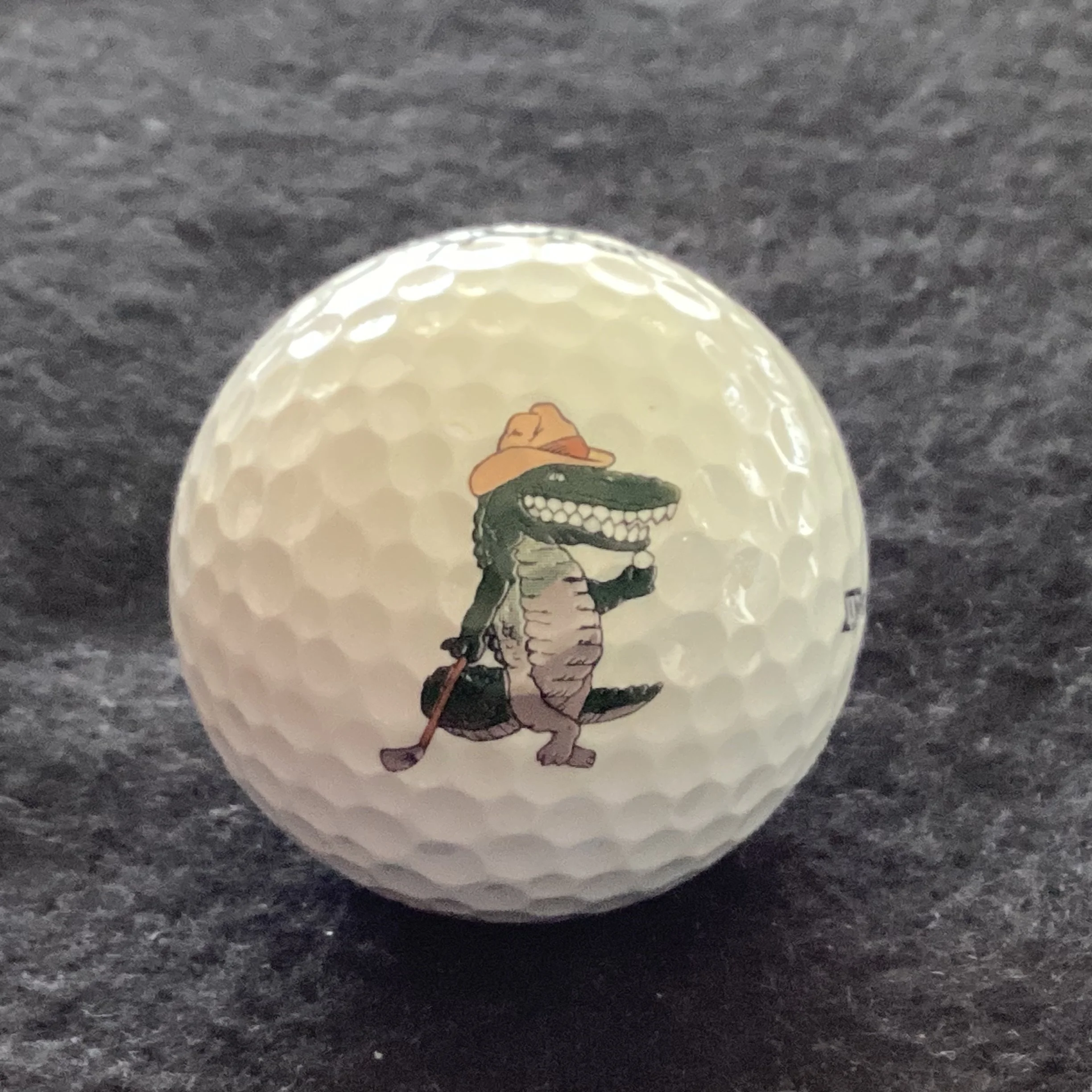 Gator Trace Golf Club 