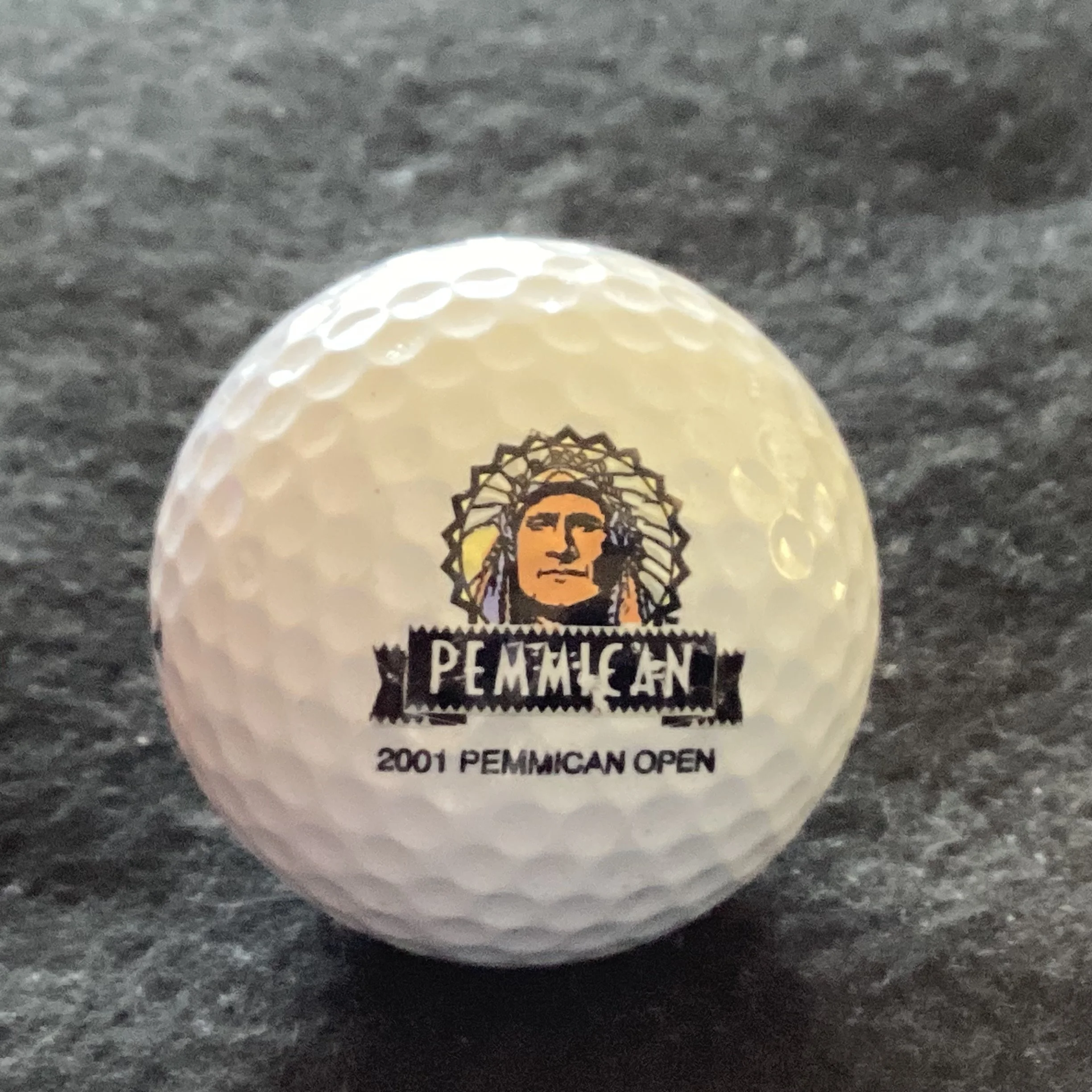 Pemmican Open 2001