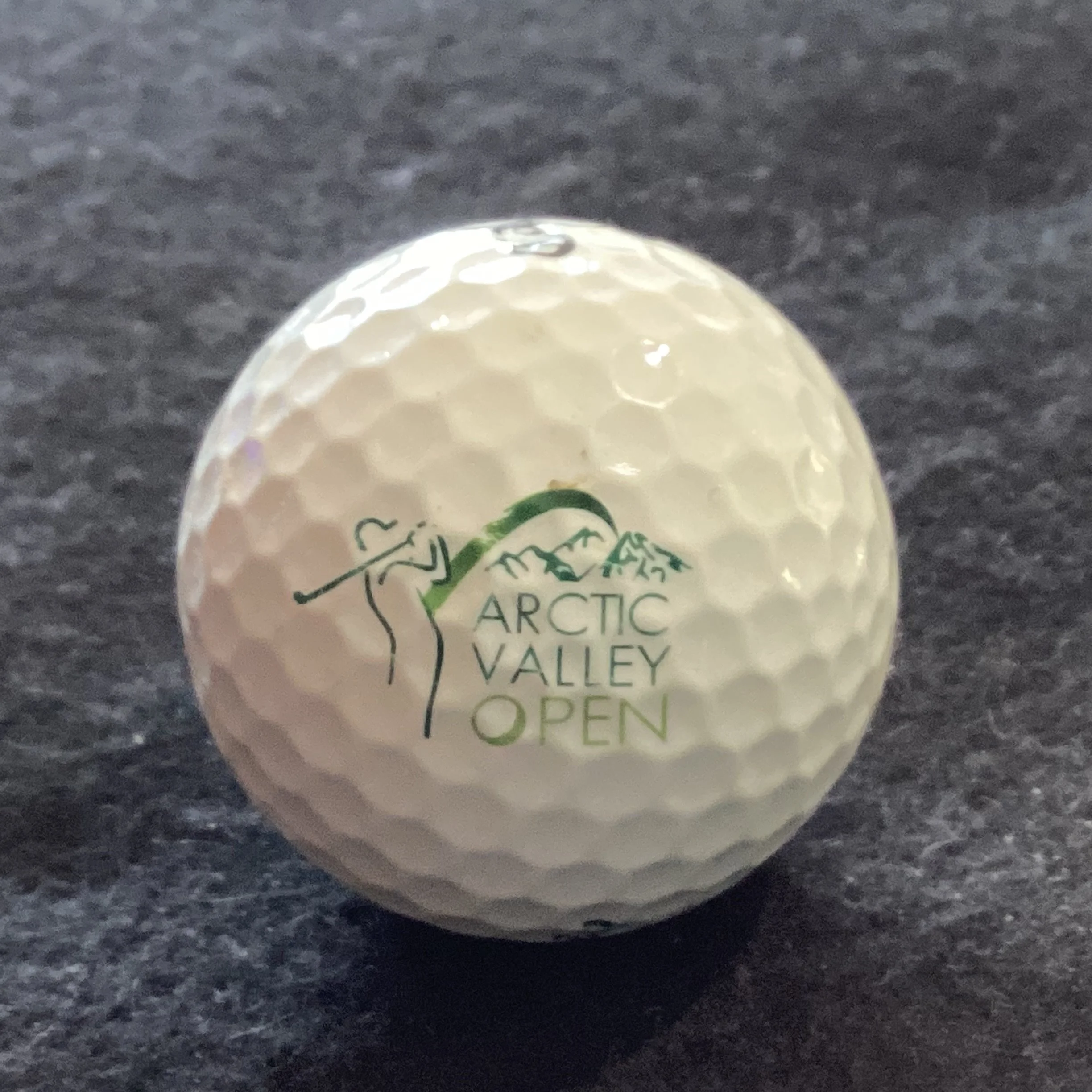 Arctic Valley Open -  Alaska