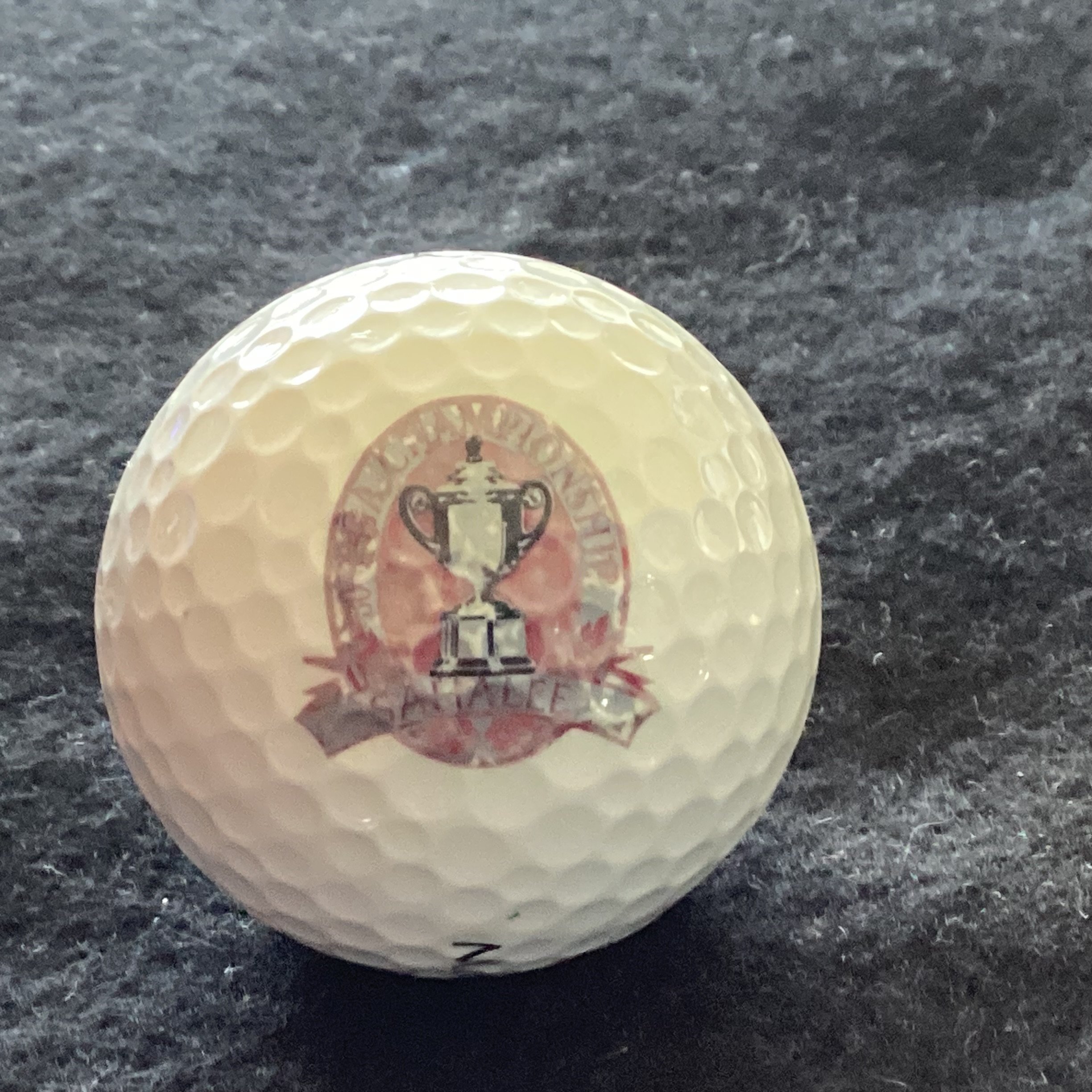 US PGA Championship 1998 - 80th Sahalee 