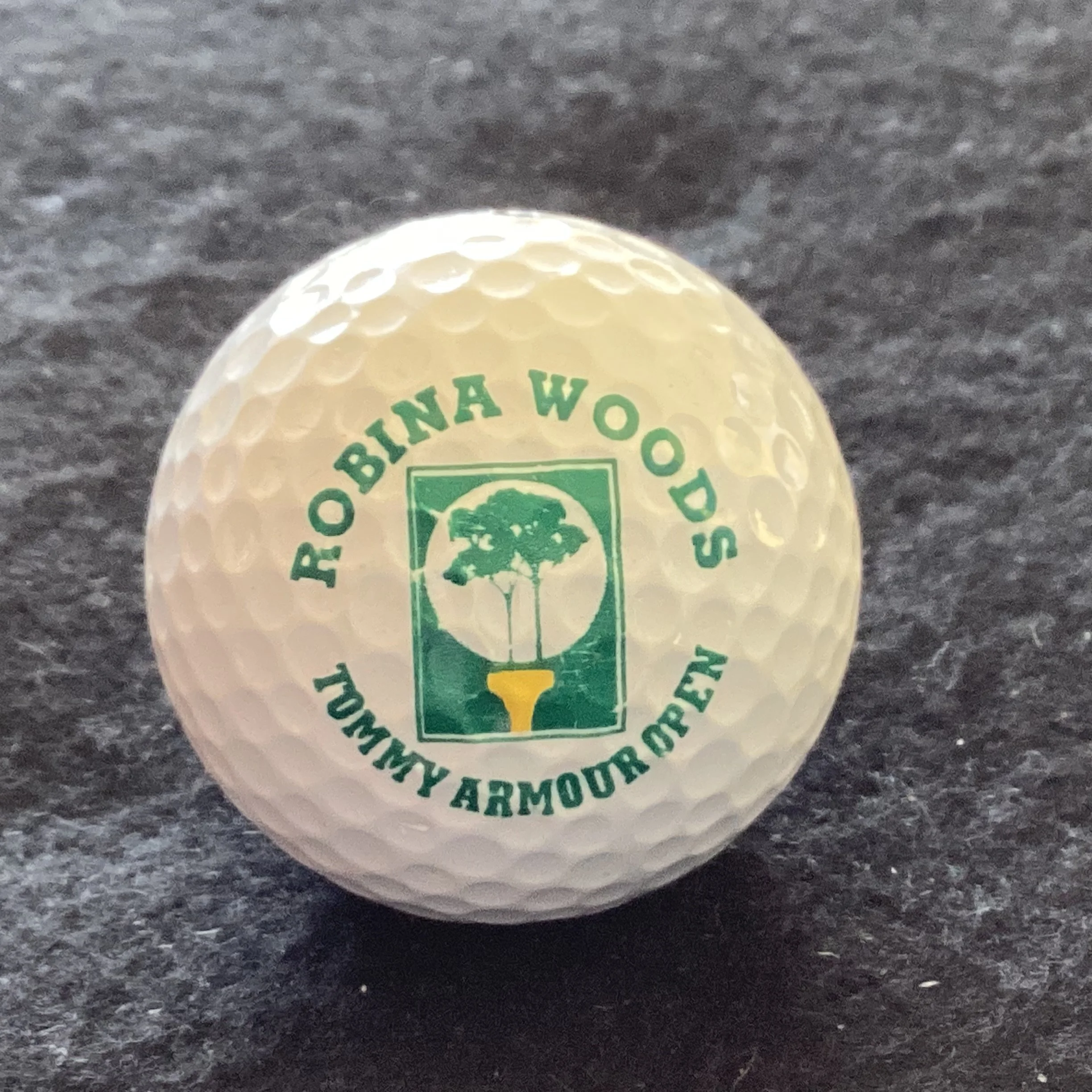 Tommy Armour Open - Robina Woods
