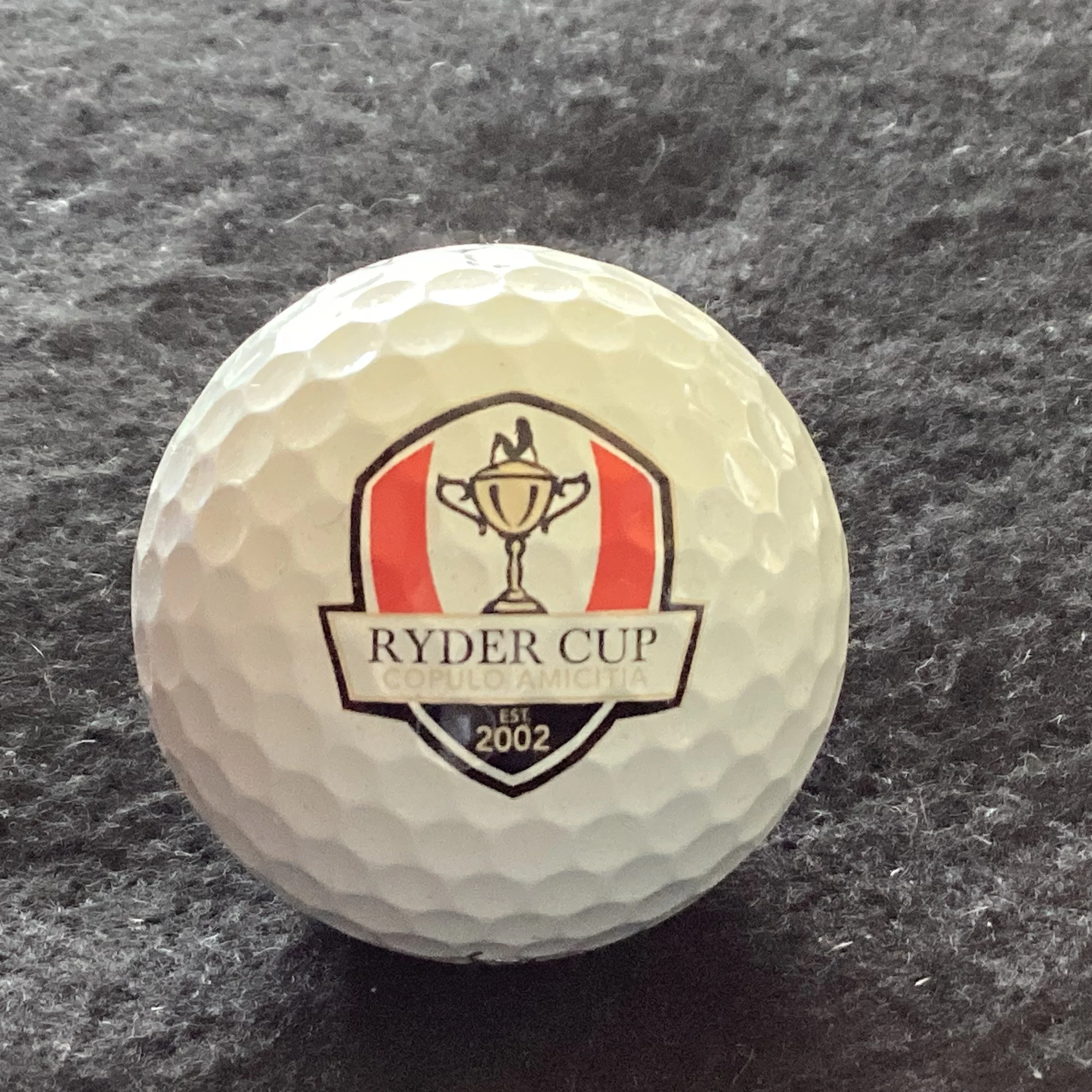 Ryder Cup - Copulo Amicitia