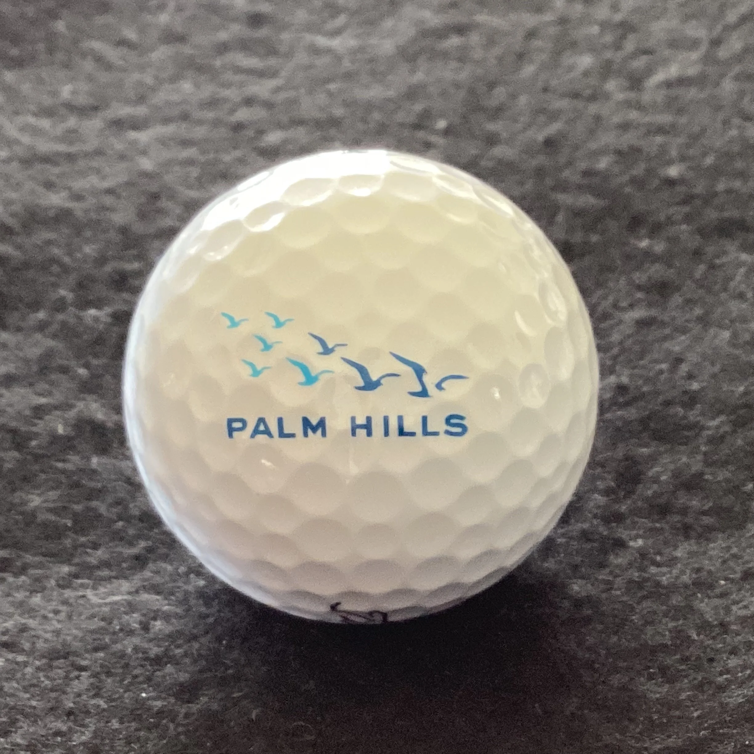 Palm Hills Golf Club 