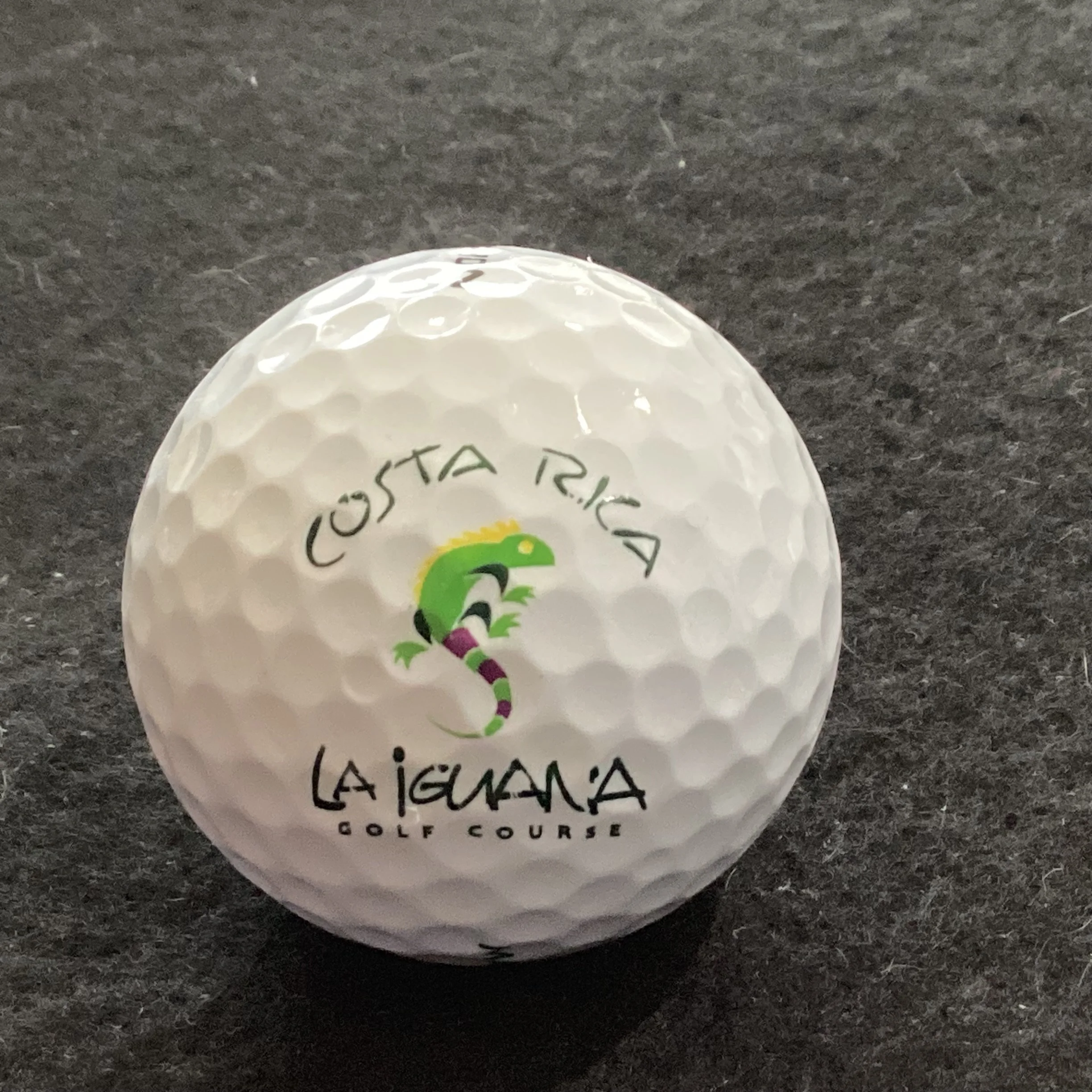 La Iguana Golf Course 