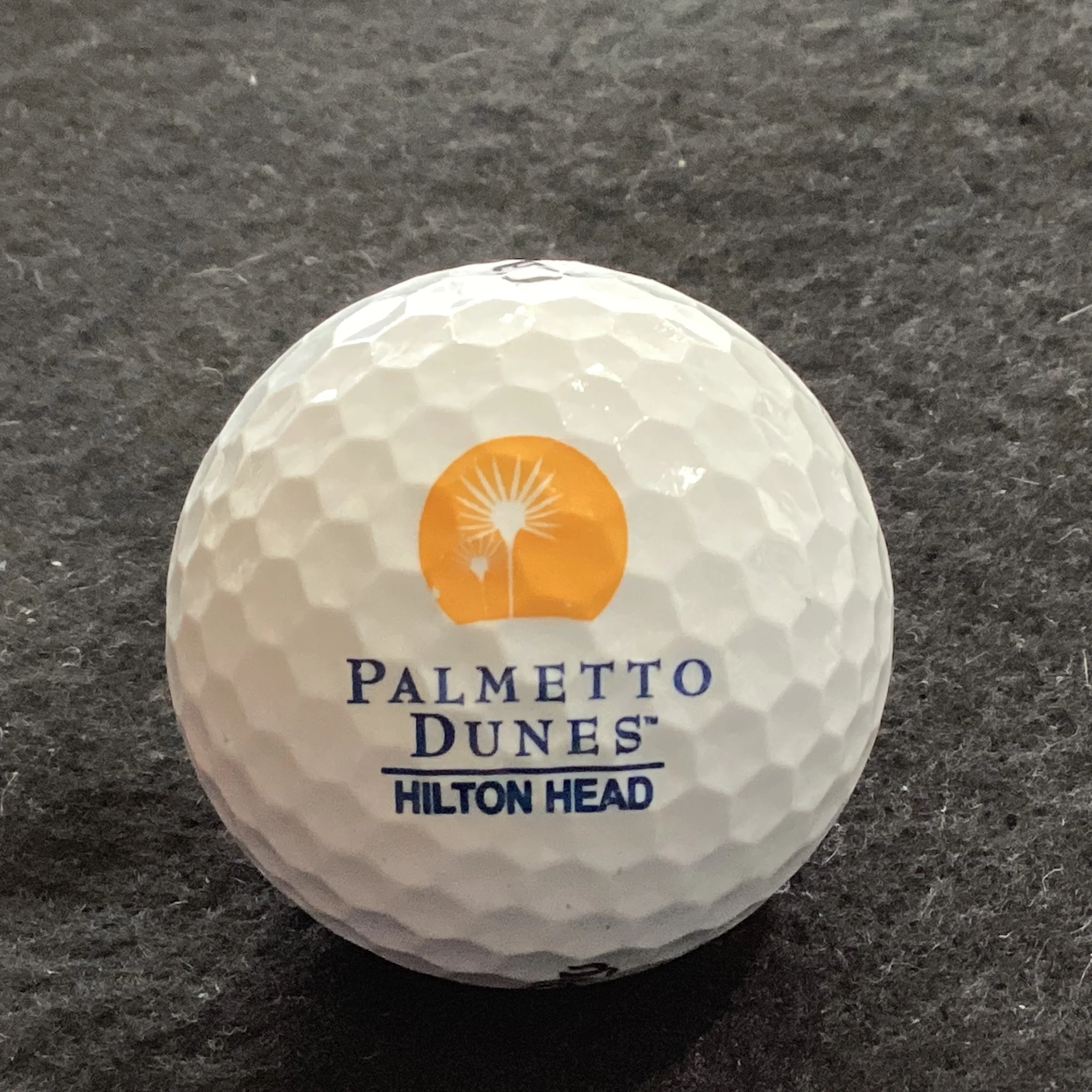 Palmetto Dunes Golf Course 
