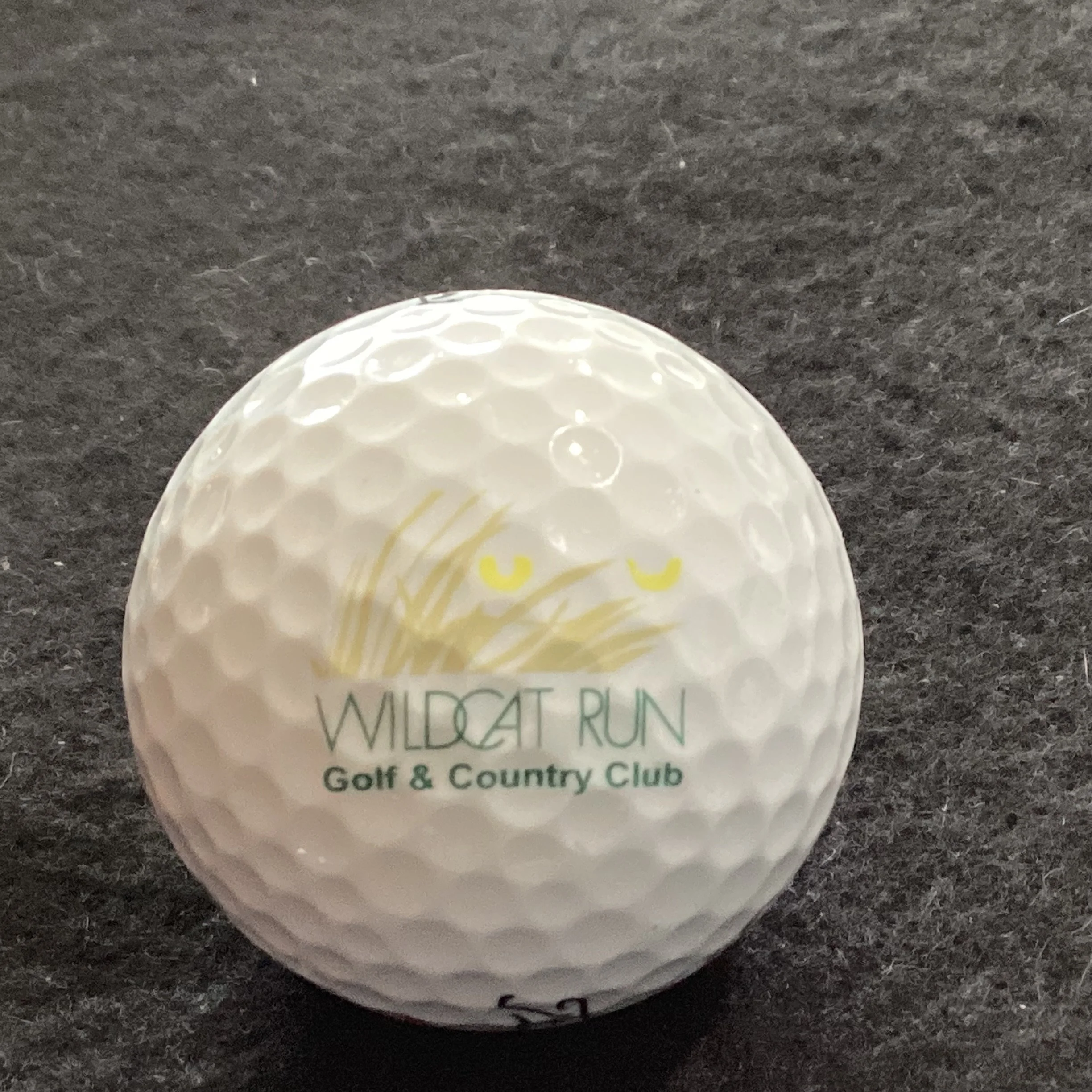 Wildcat Run Golf and Country Club 