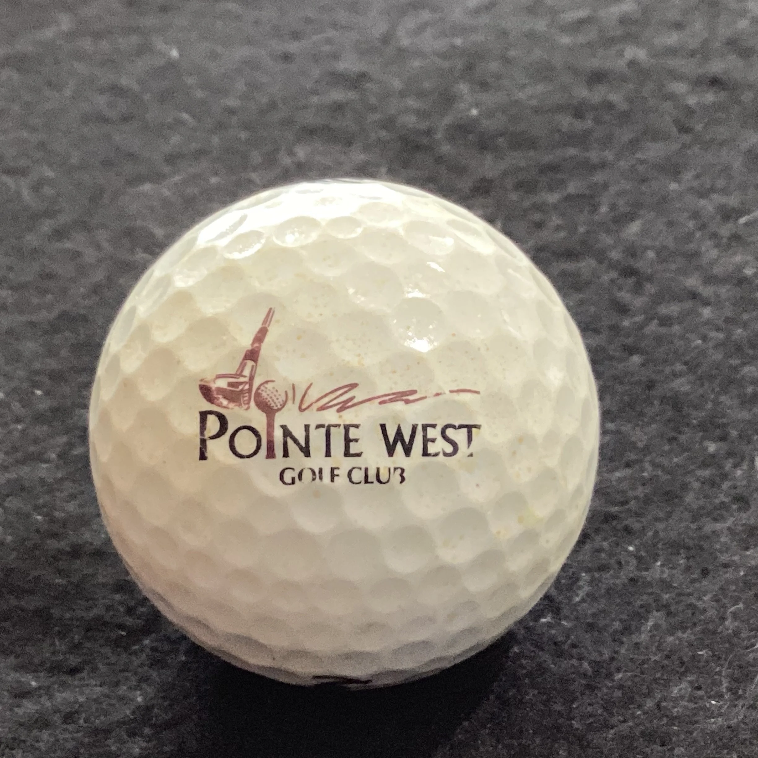 Pointe West Golf Club 