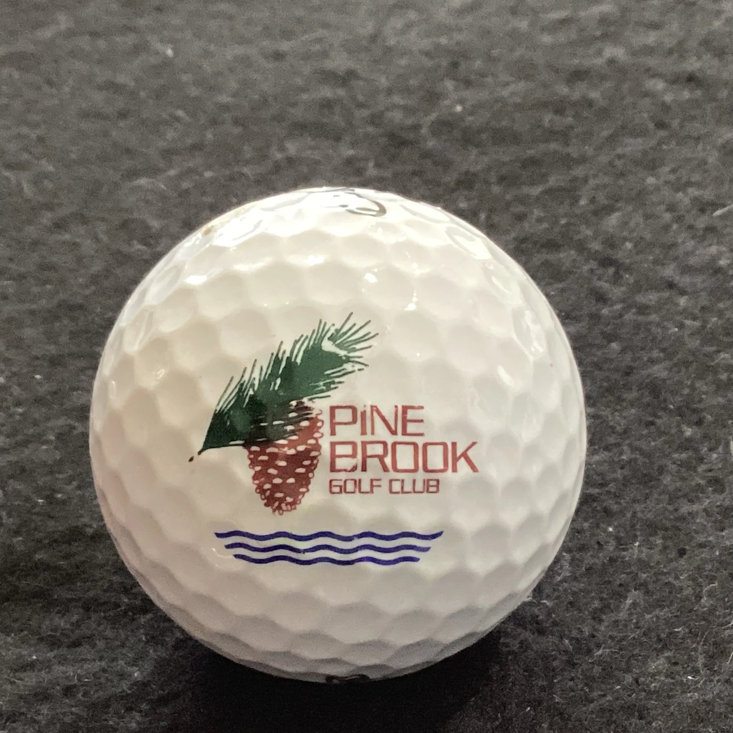 Pine Brook Golf Club 