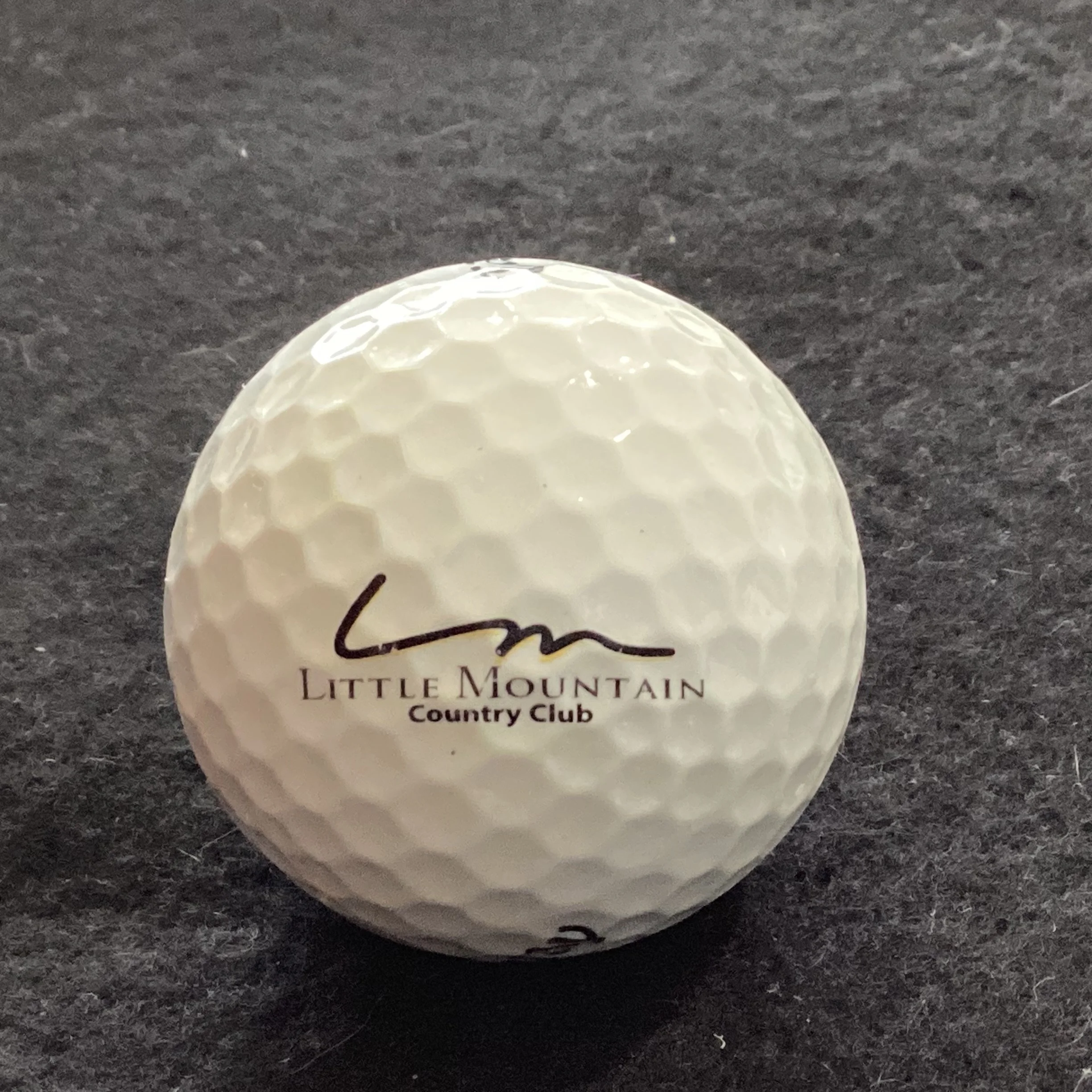Little Mountain Country Club 