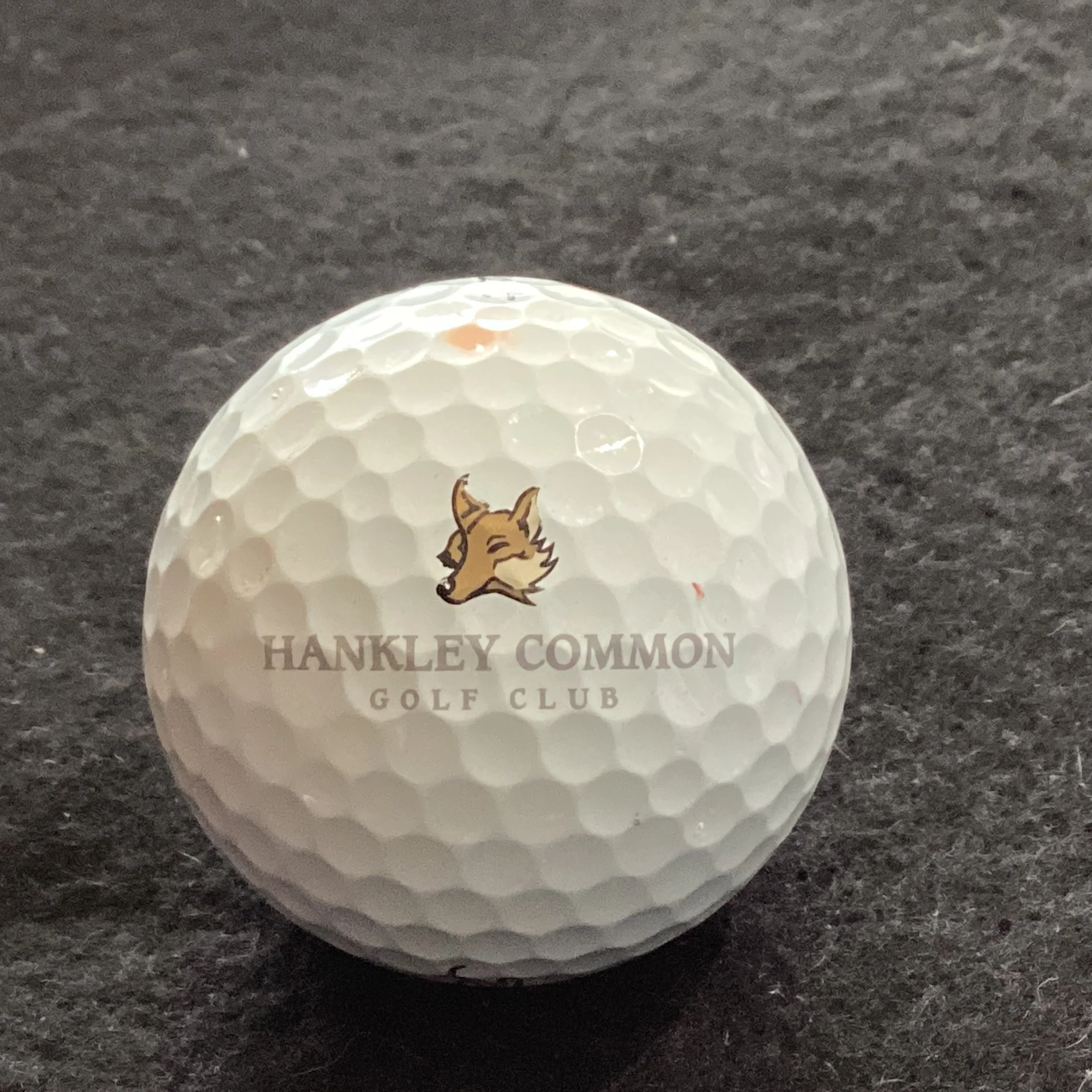 Hankley Common Golf Club 