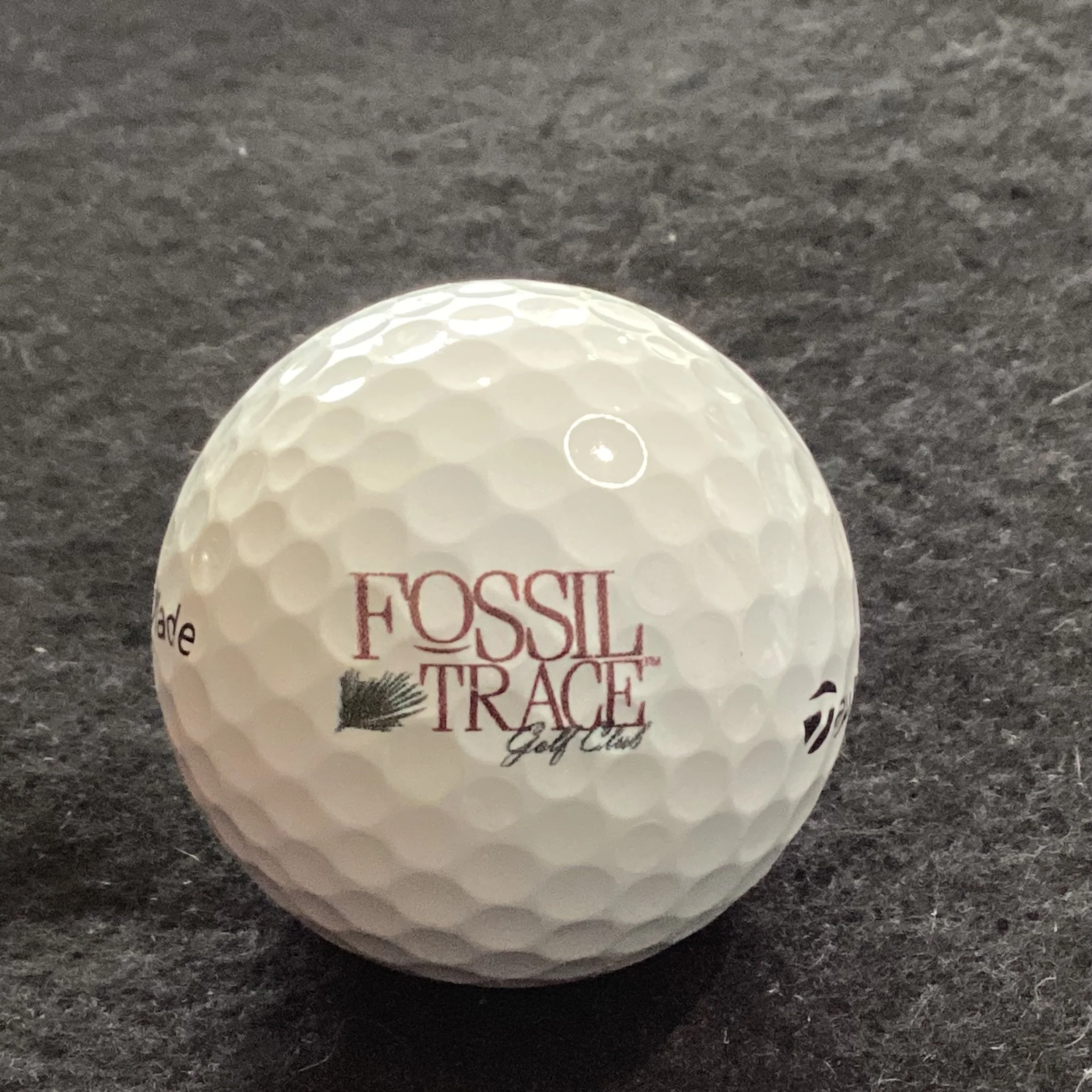 Fossil Trace Golf Club 