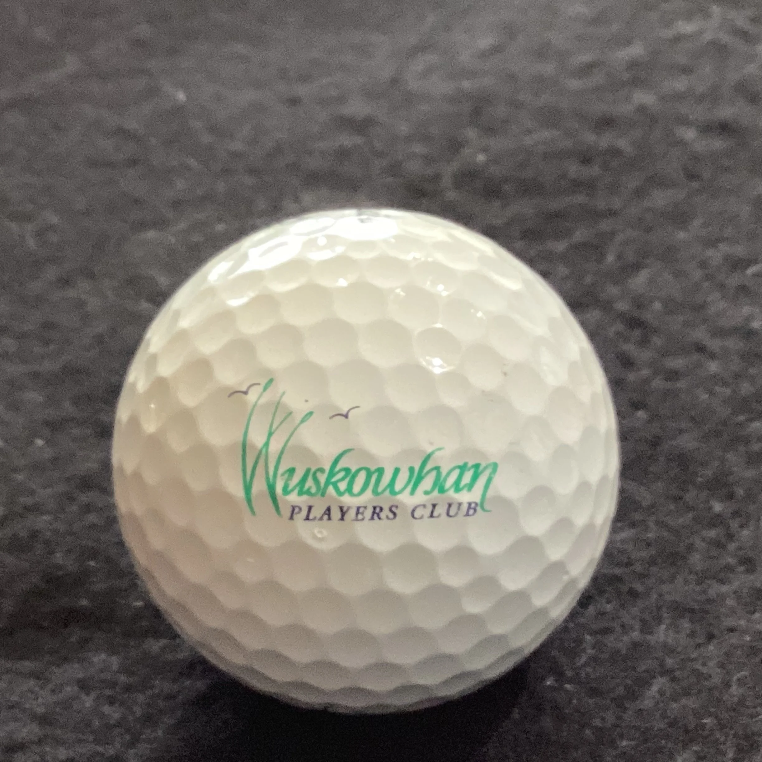Wuskowhan Players Club