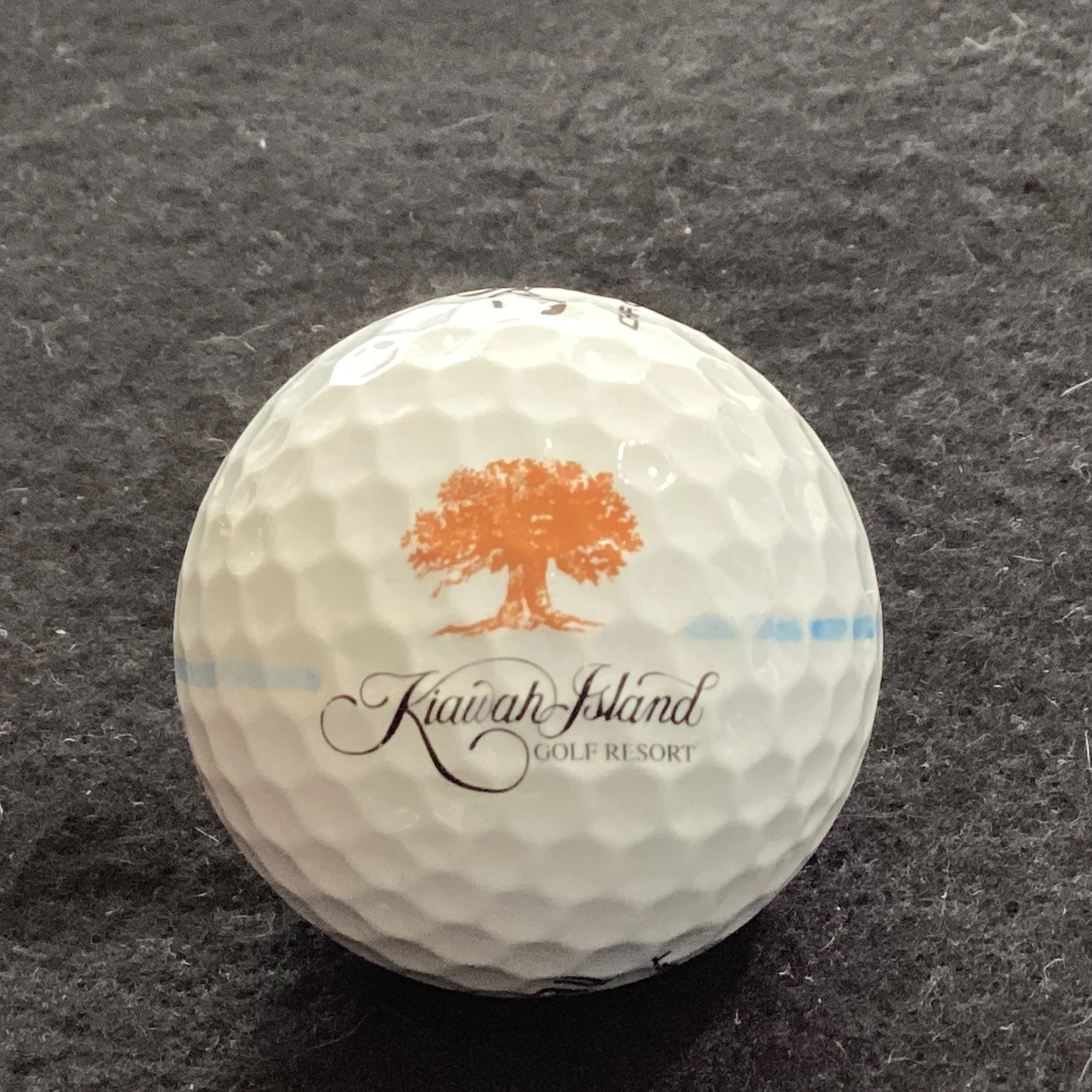 Kiawah Island Golf Resort 