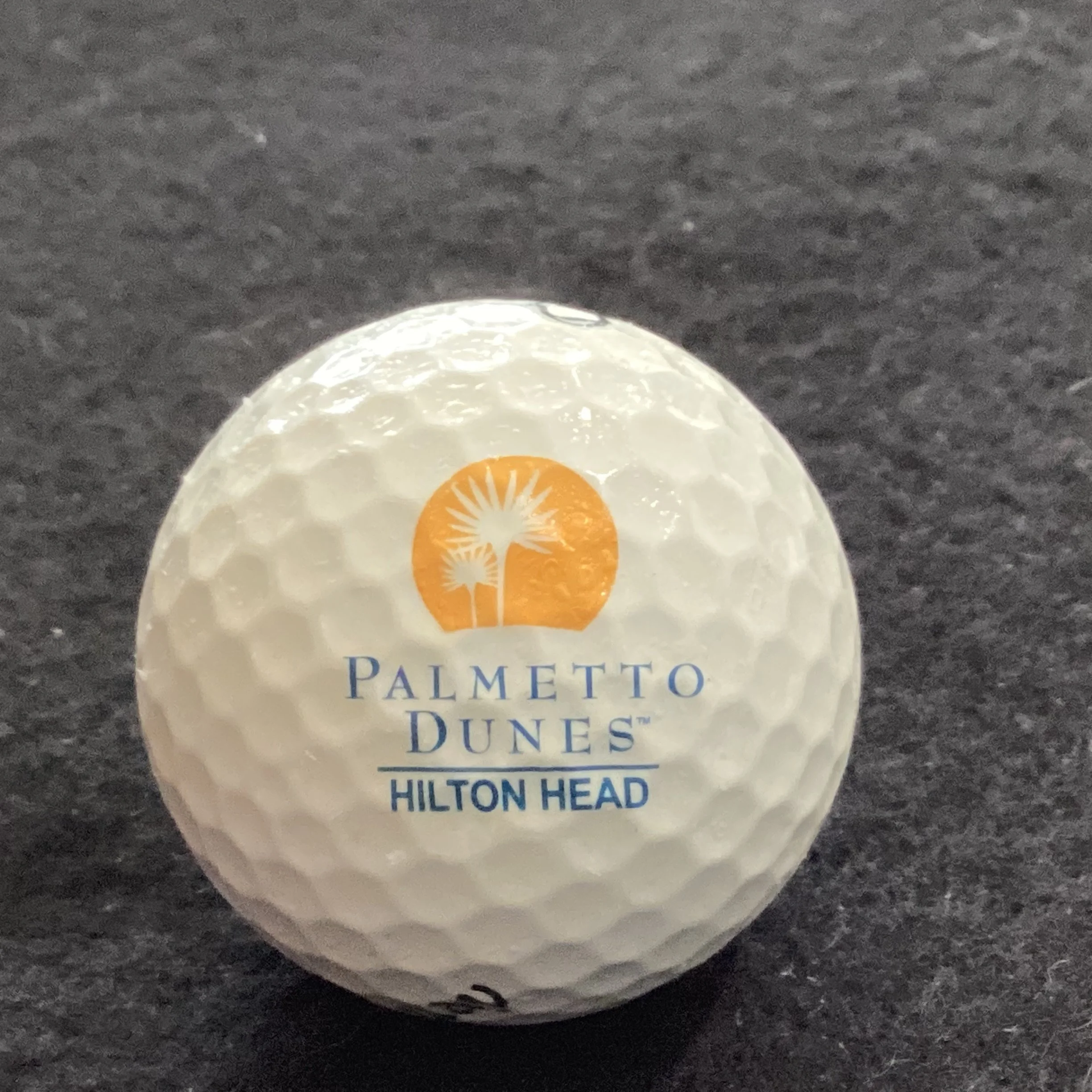Palmetto Dunes Golf Course 