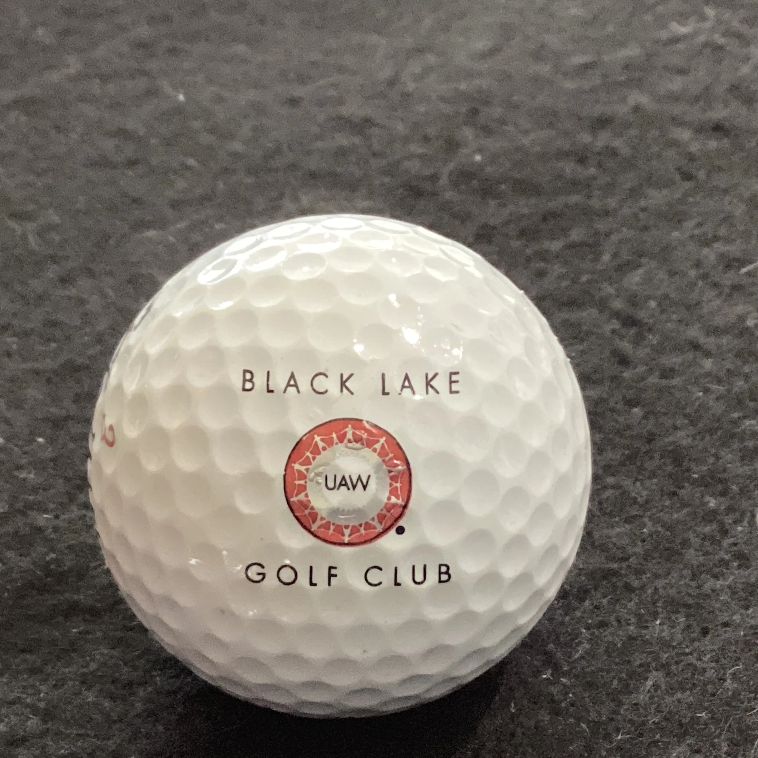 Black Lake Golf Club 