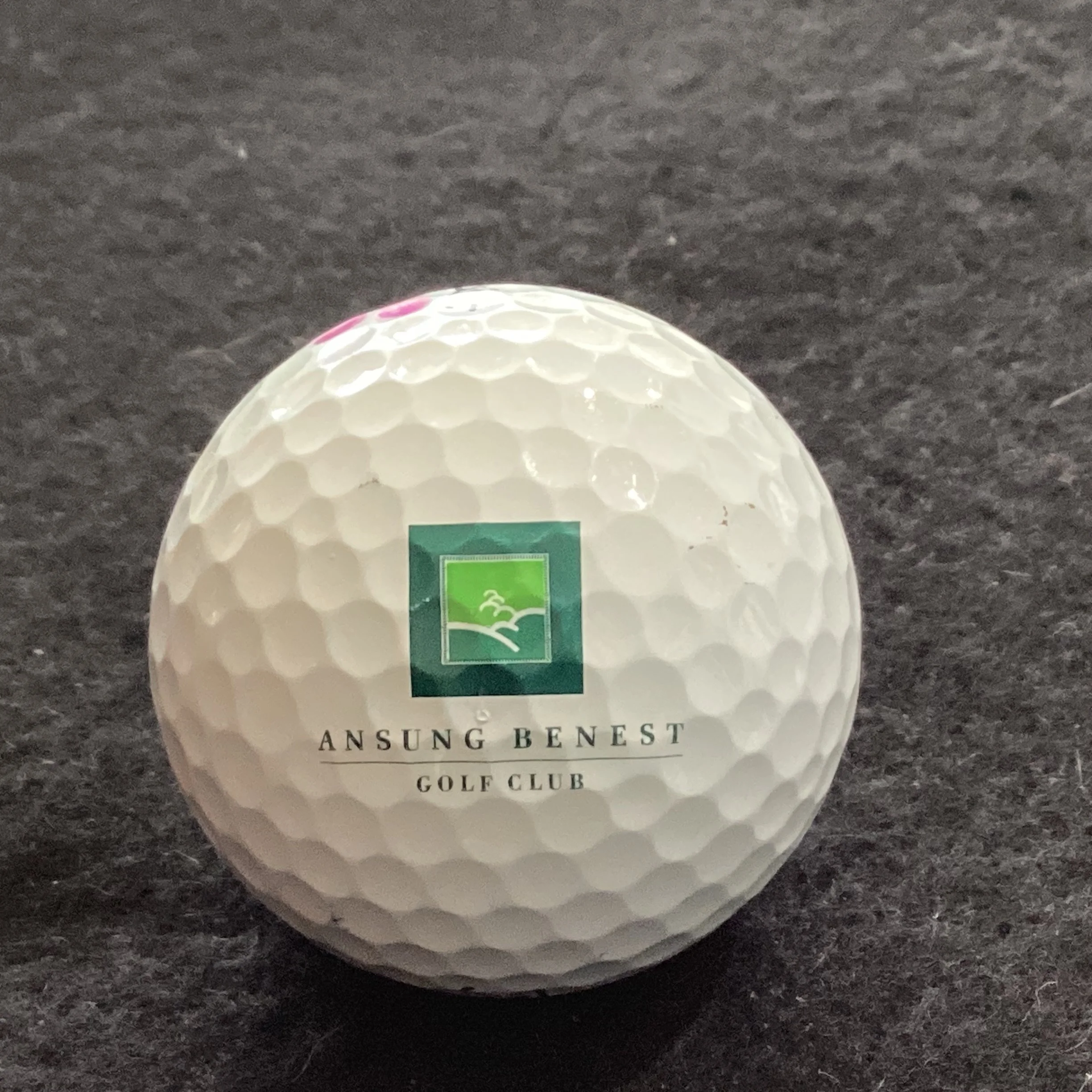 Ansung Benest Golf Club 