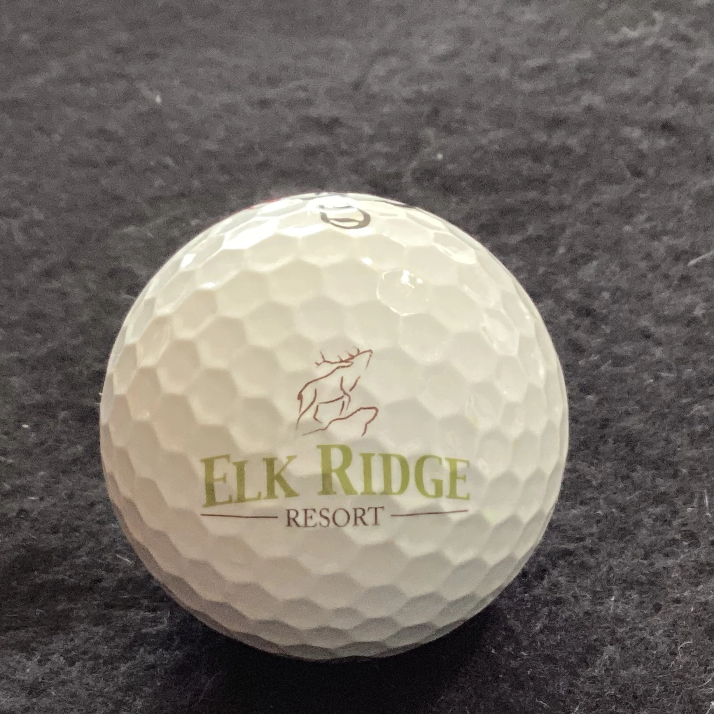 Elk Ridge Resort