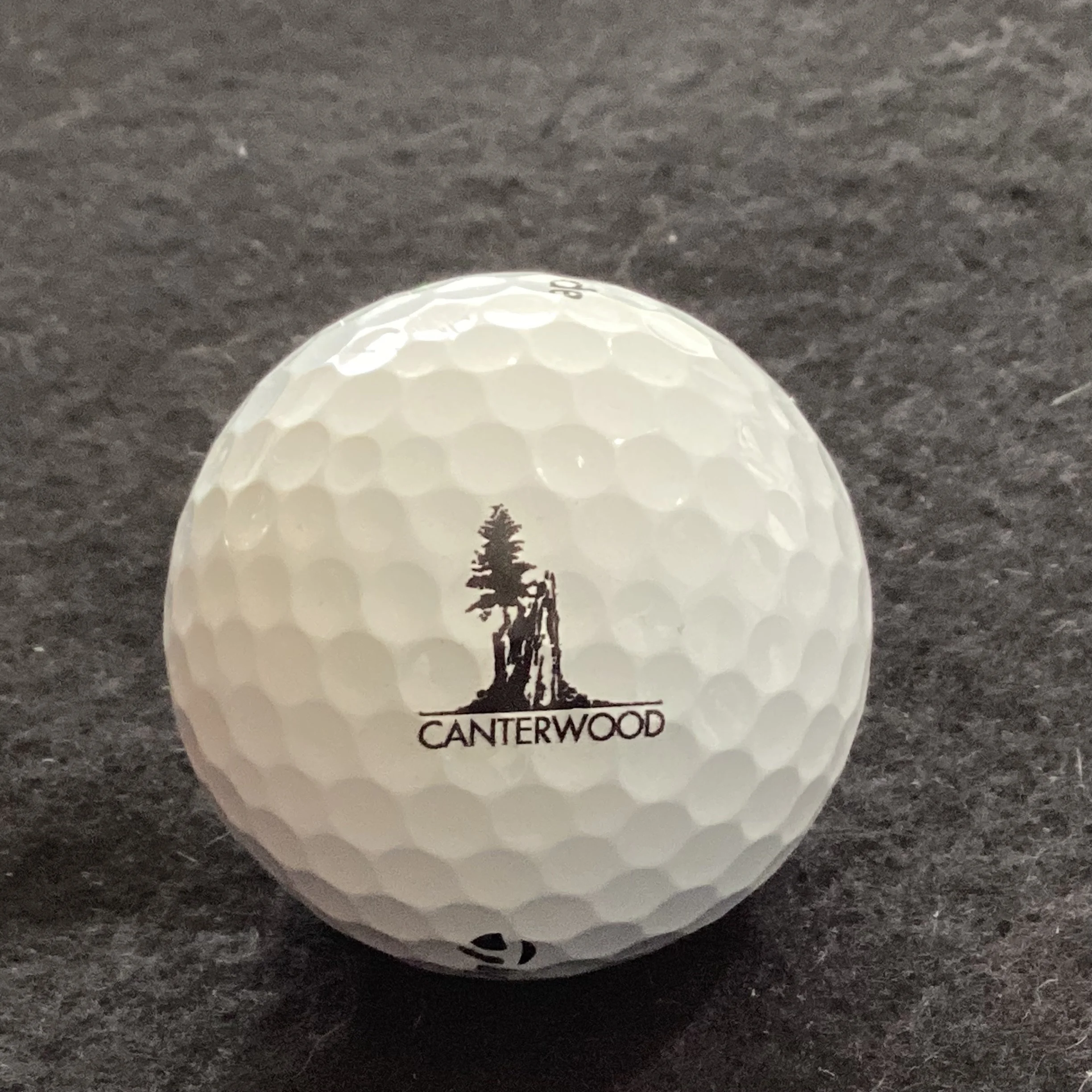 Canterwood Golf and Country Club 