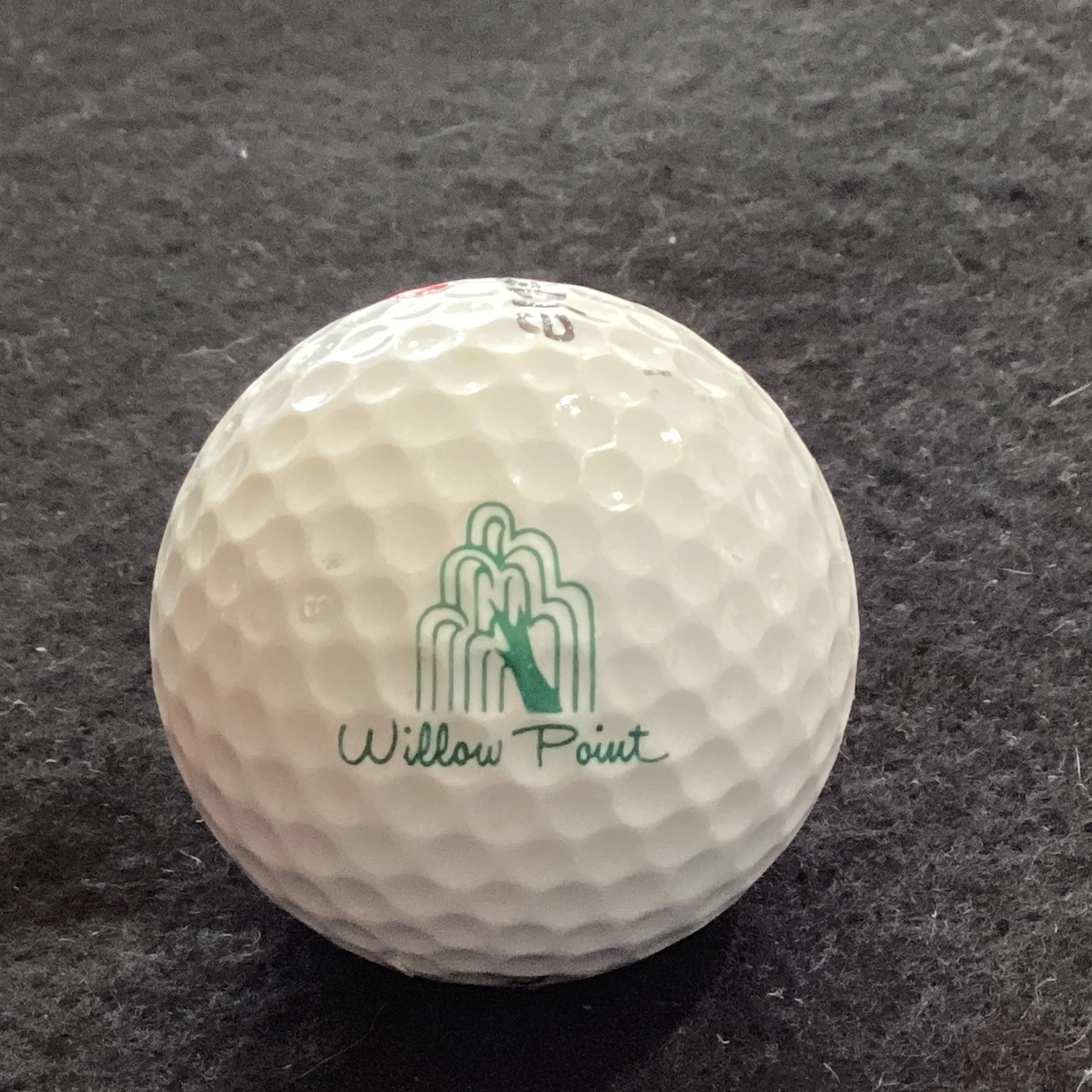 Willow Point Golf and Country Club 