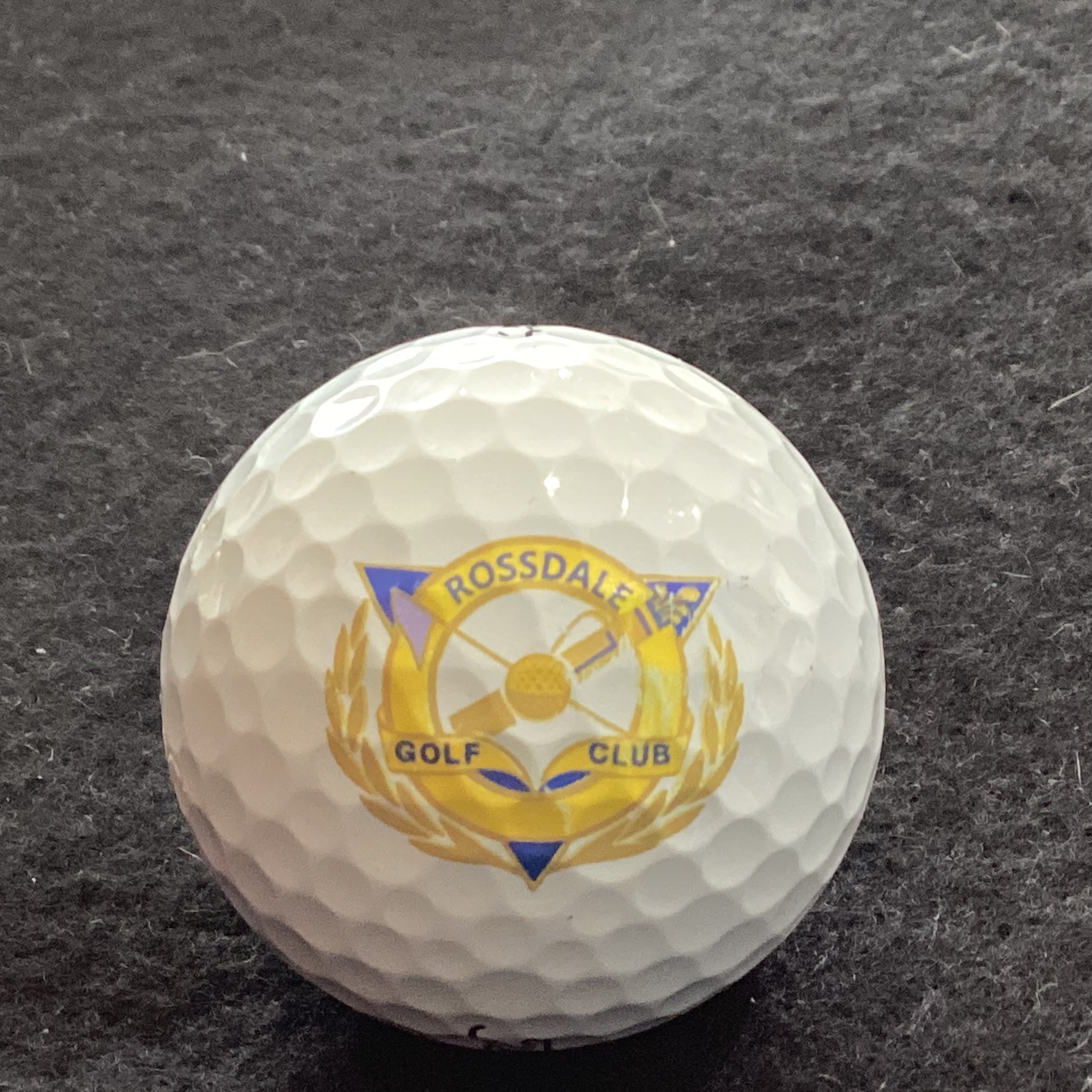 Rossdale Golf Club 